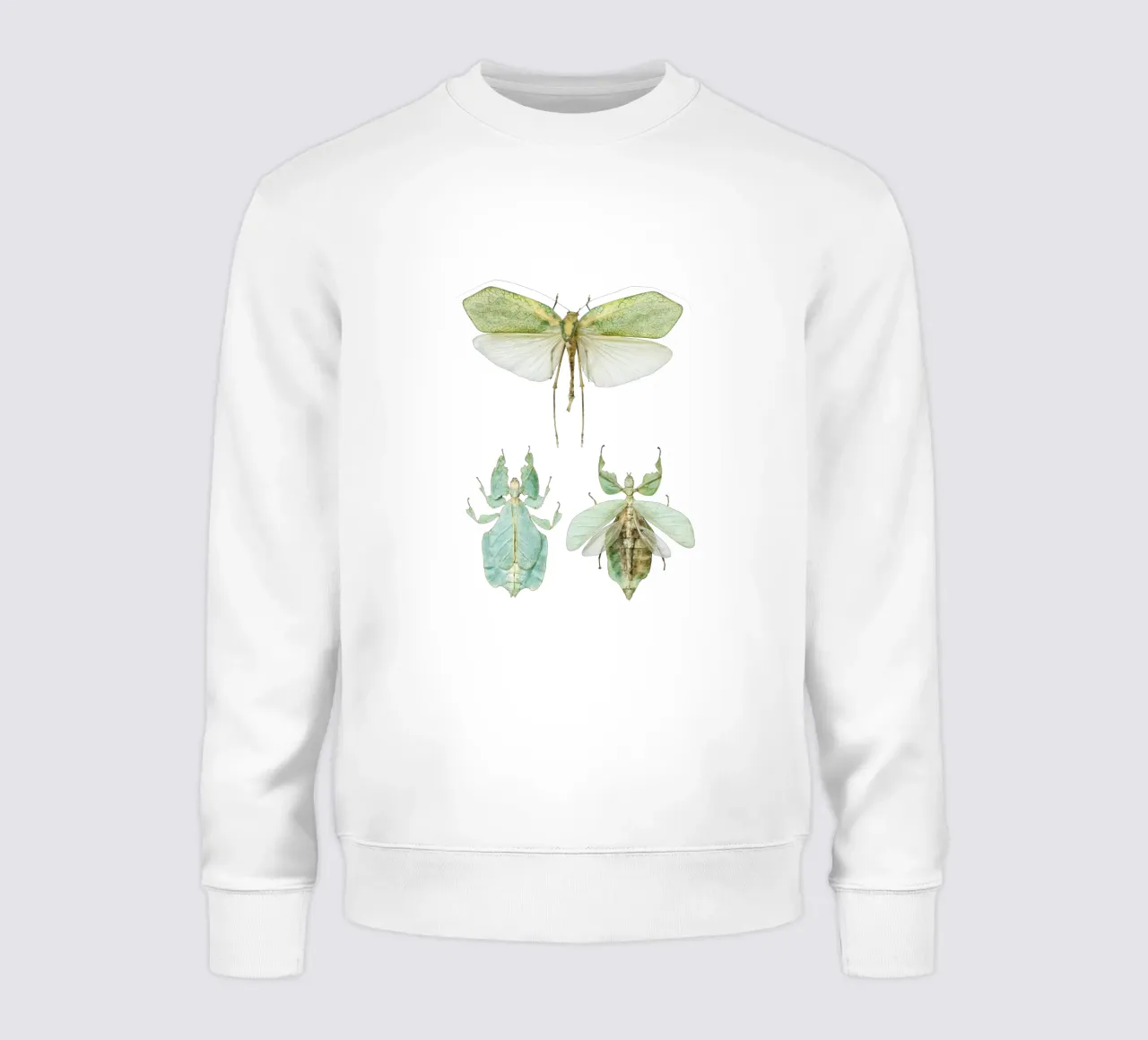 Walking Leaf Insects sweatshirt by Curious Collections by Marielle Leenders