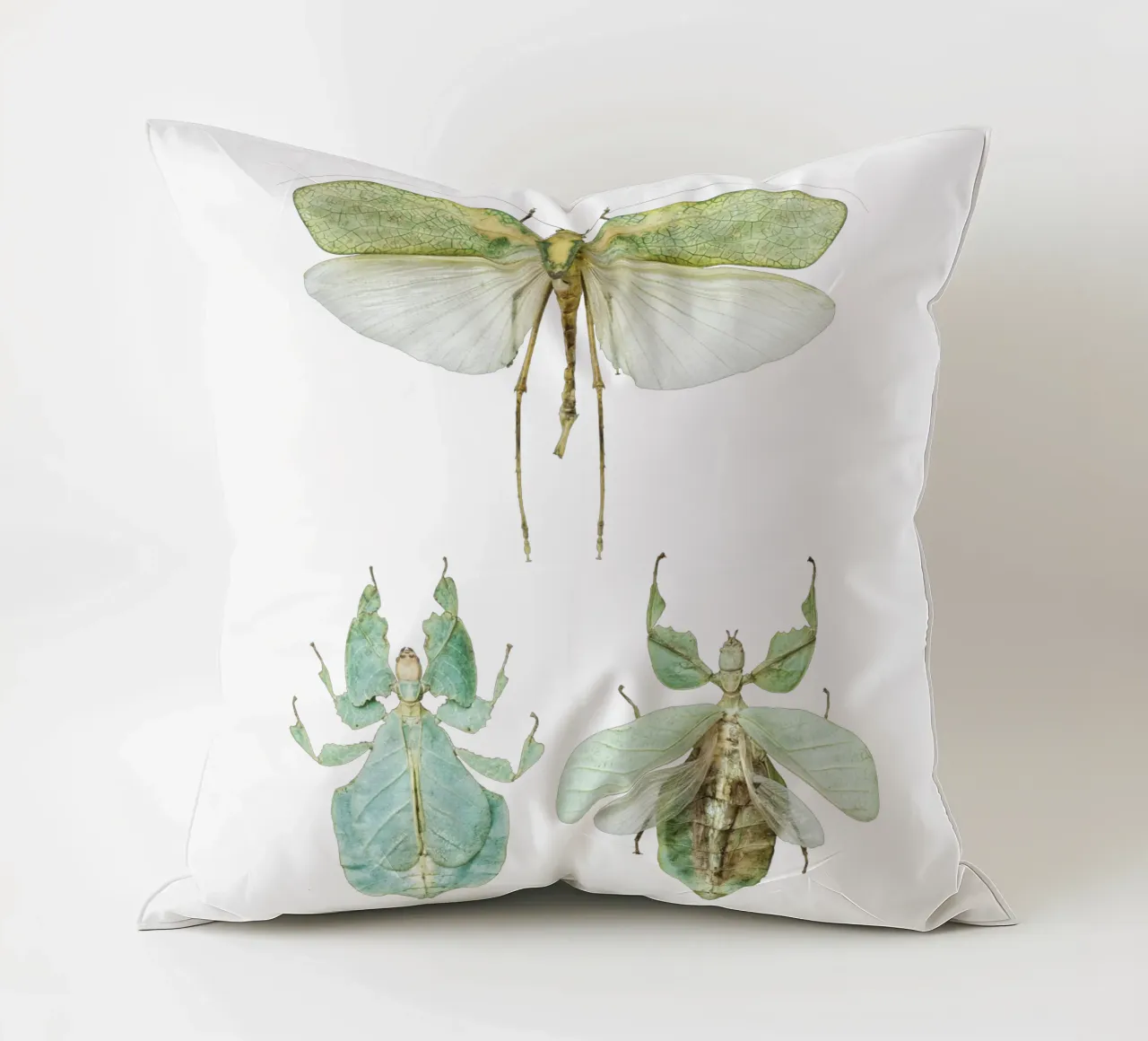 Insetti delle foglie che camminano cuscino da Curious Collections by Marielle Leenders