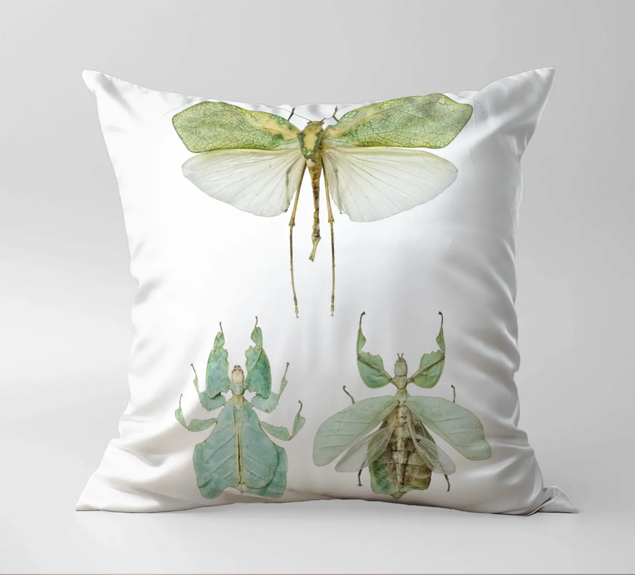 Insetti delle foglie che camminano cuscino da Curious Collections by Marielle Leenders