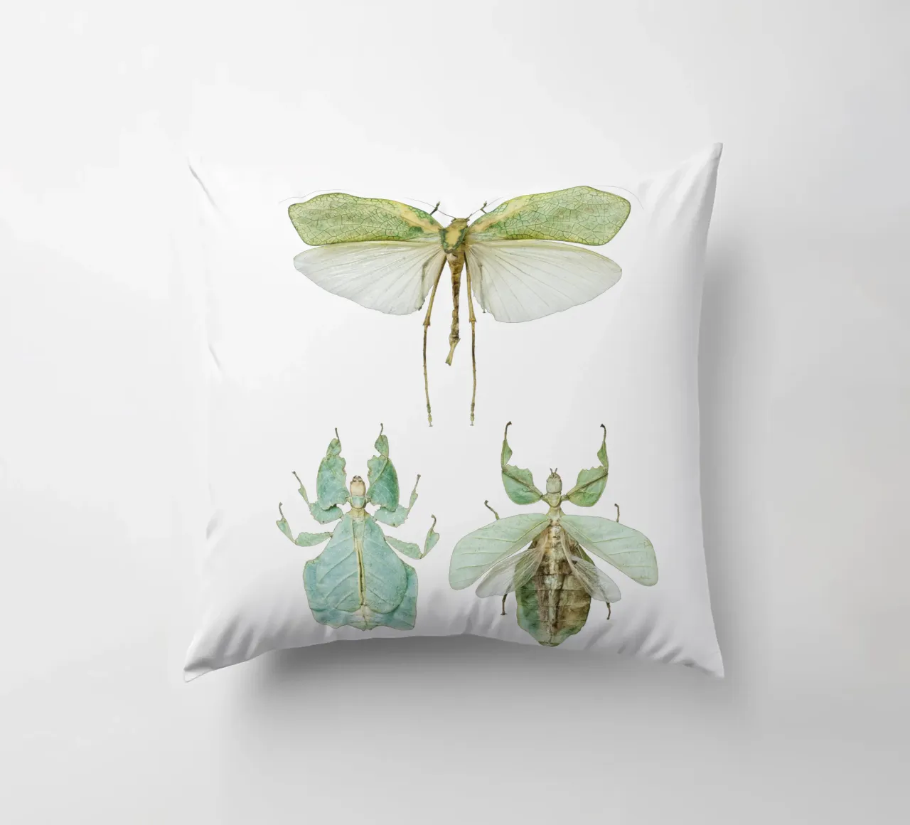 Insetti delle foglie che camminano cuscino da Curious Collections by Marielle Leenders