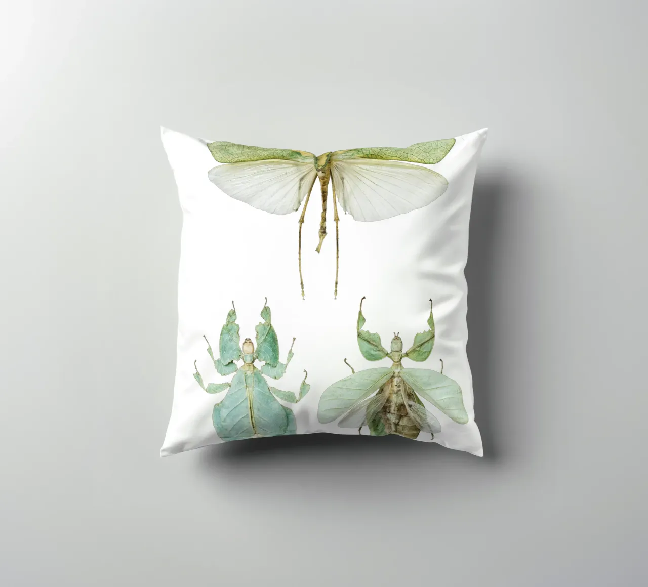Insetti delle foglie che camminano cuscino da Curious Collections by Marielle Leenders