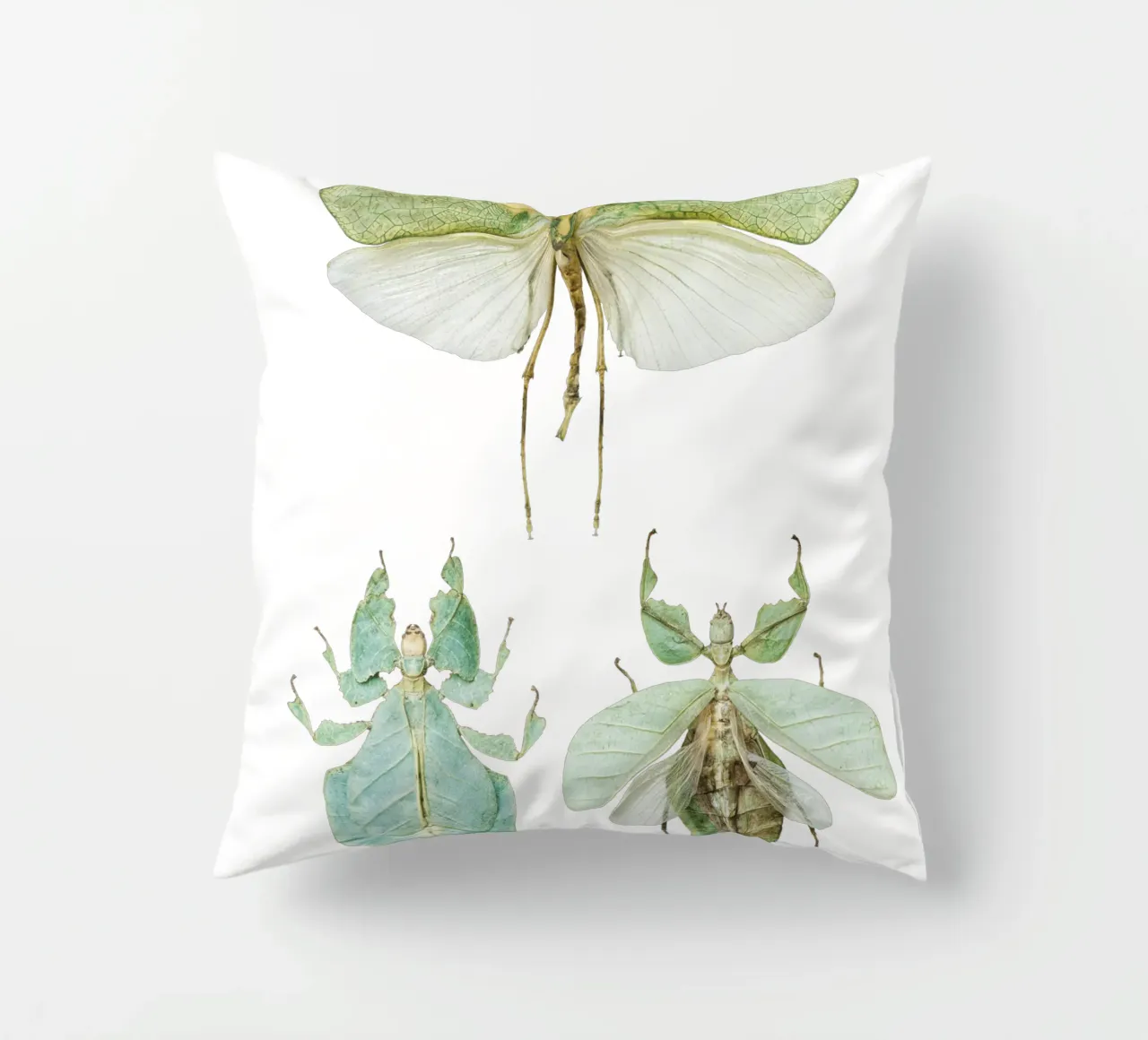Insetti delle foglie che camminano cuscino da Curious Collections by Marielle Leenders