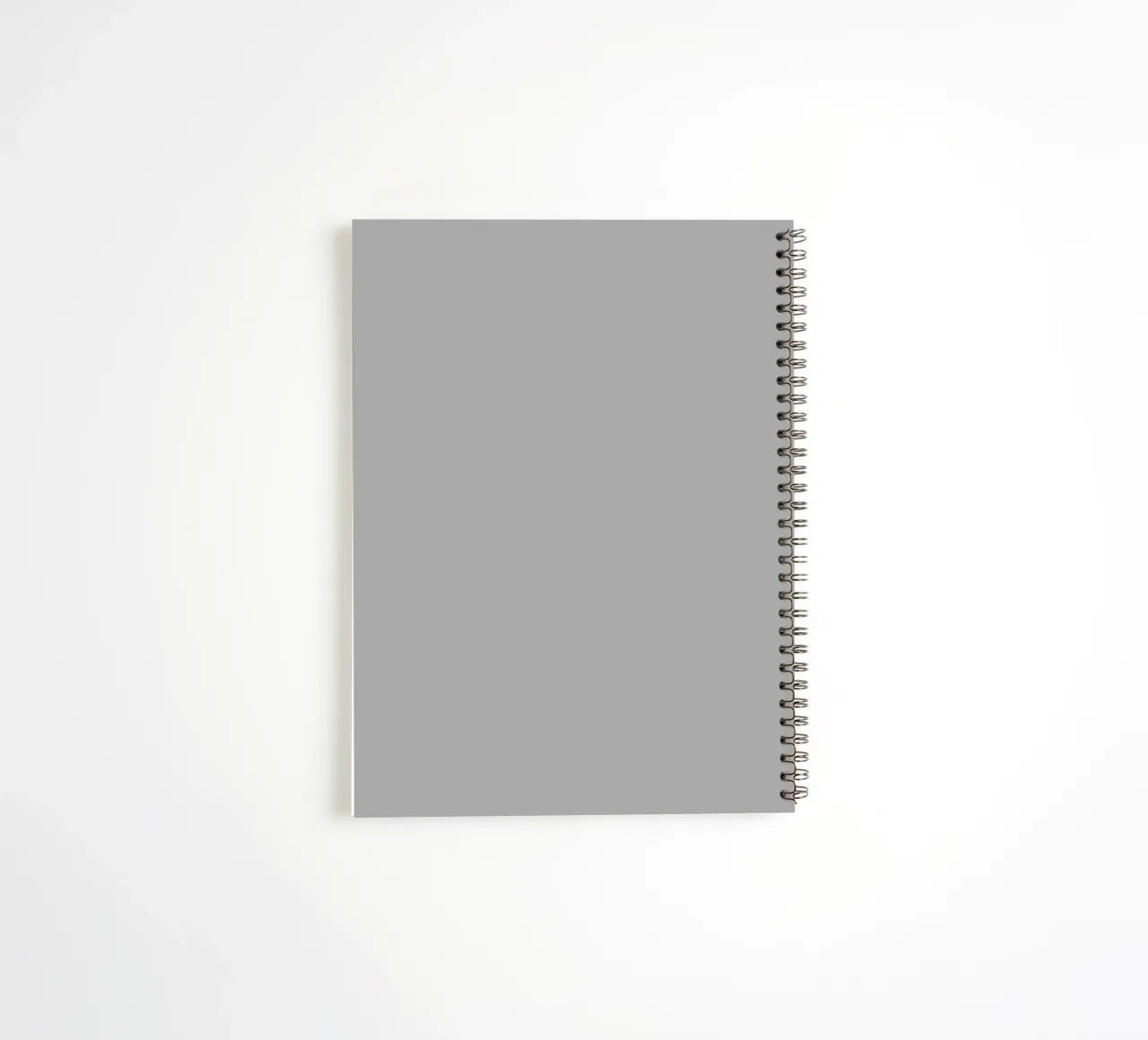 Chaotic Stupid it's not an alignment spiral notebook by Loobs