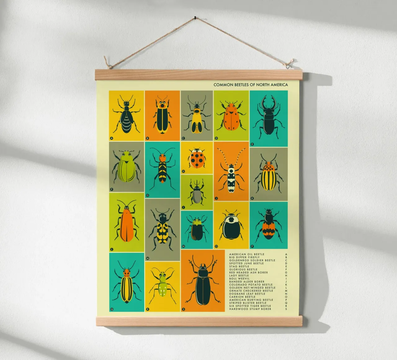 COLEOTTERI COMUNI IN NORD AMERICA poster con telaio in legno da Jazzberry Blue