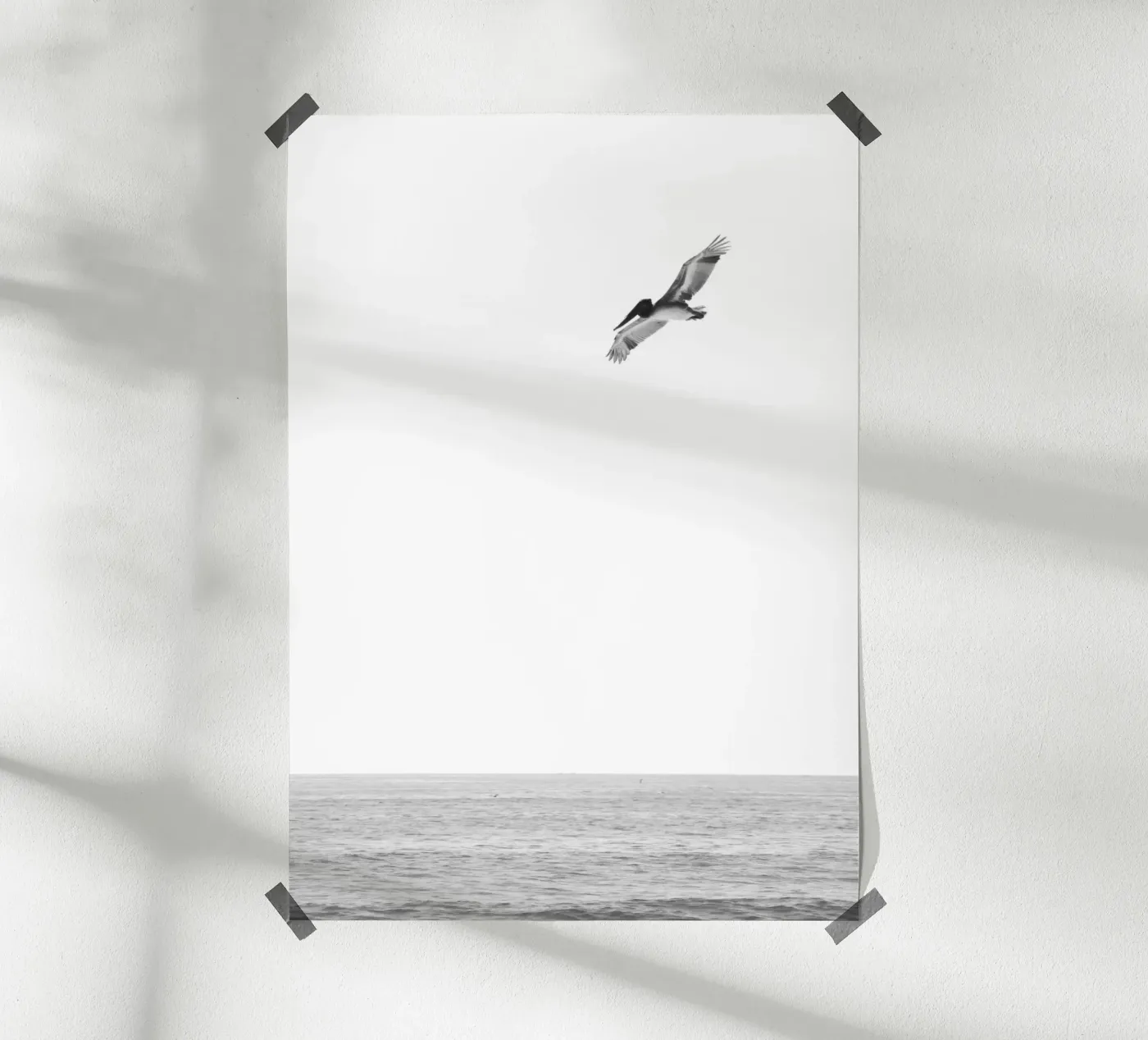 Segelflug poster da BAINAI MARITIM