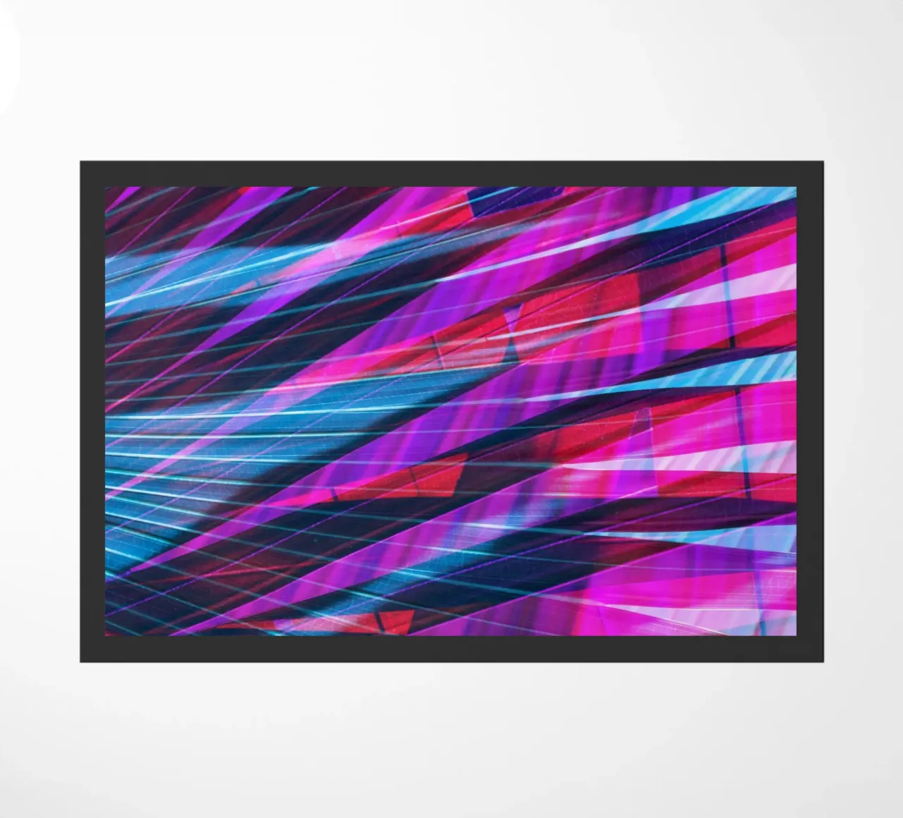 Palm Vibe 01 zerbino da amini54