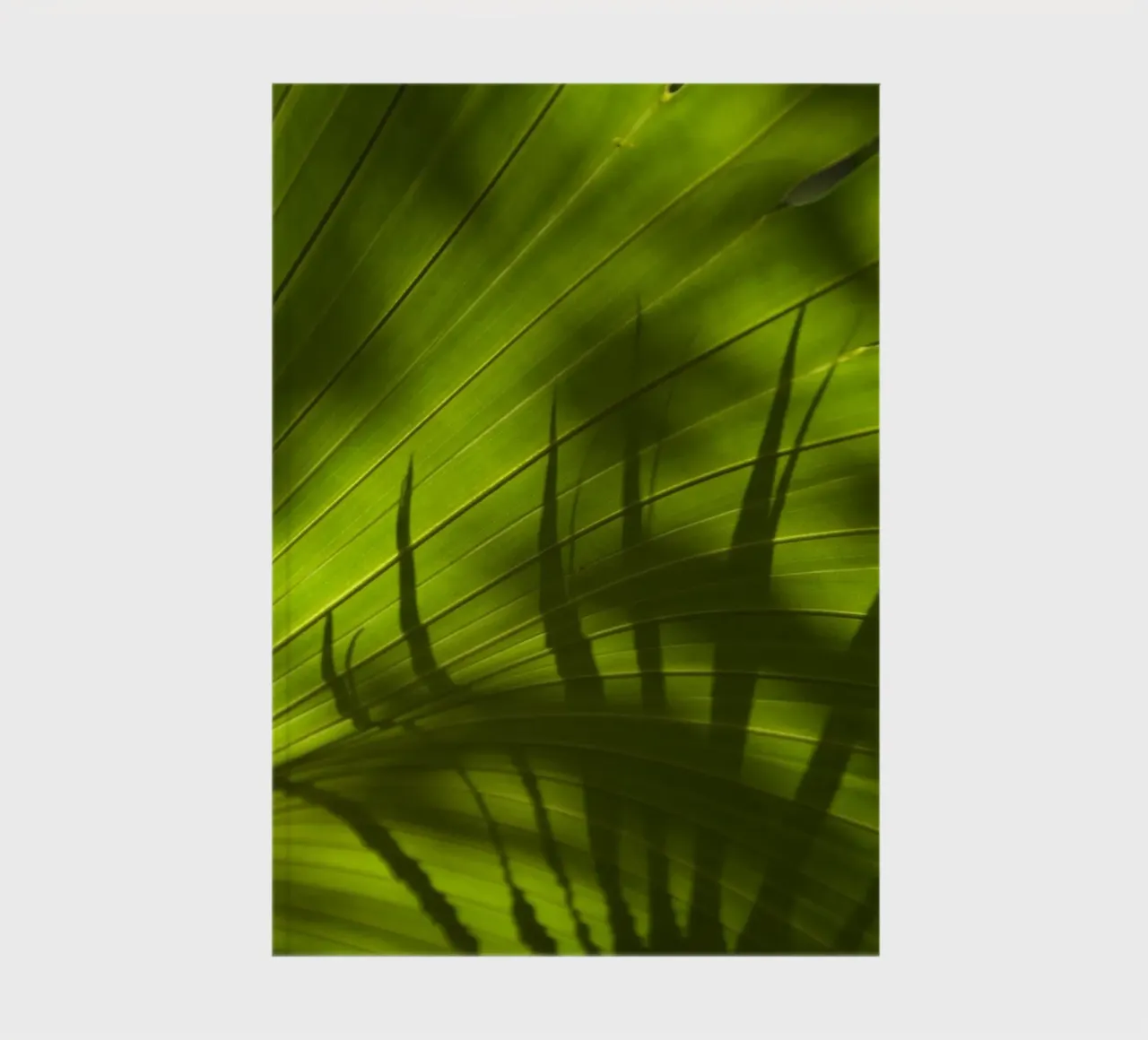 Palm Shadow 01 notebook by amini54