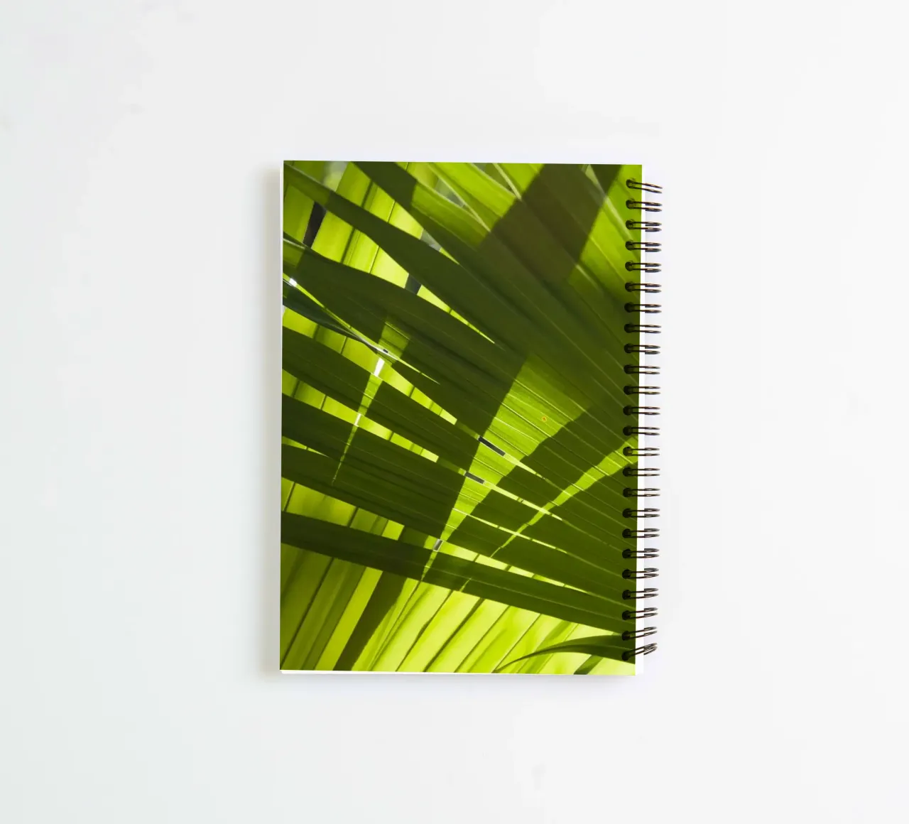Palm Shadow 02 spiral notebook by amini54