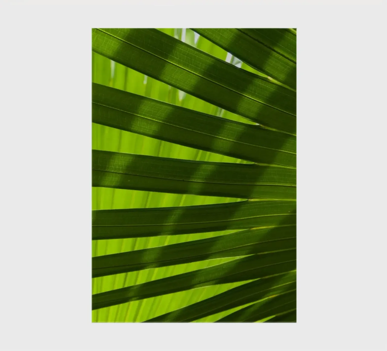 Palm Shadow 03 notebook by amini54