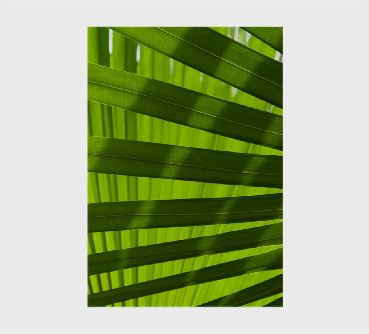 Palm Shadow 03 notebook by amini54