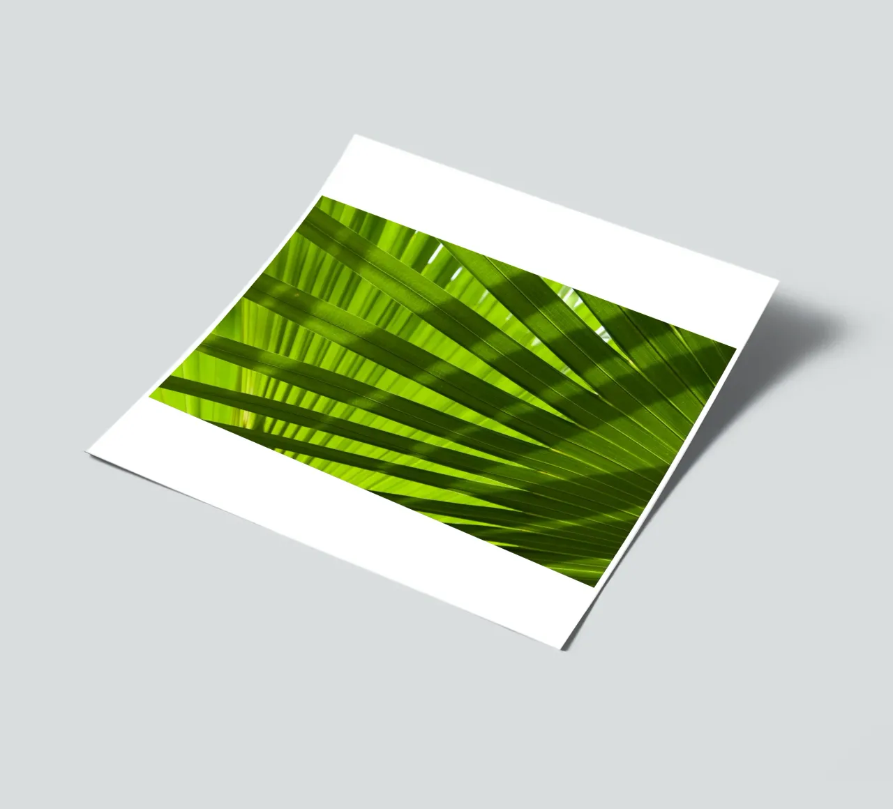 Palmenschatten 03 Stickerbogen von amini54
