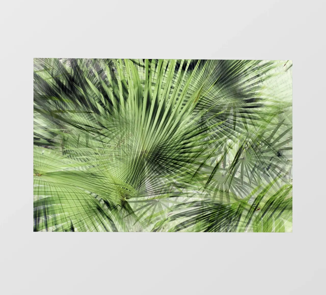 Palm Vibe 06 telo in pvc da amini54
