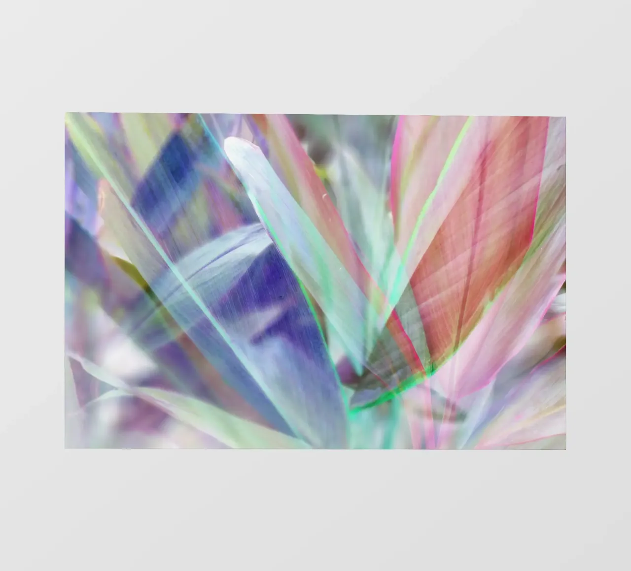 Palm Vibe 09 telo in pvc da amini54