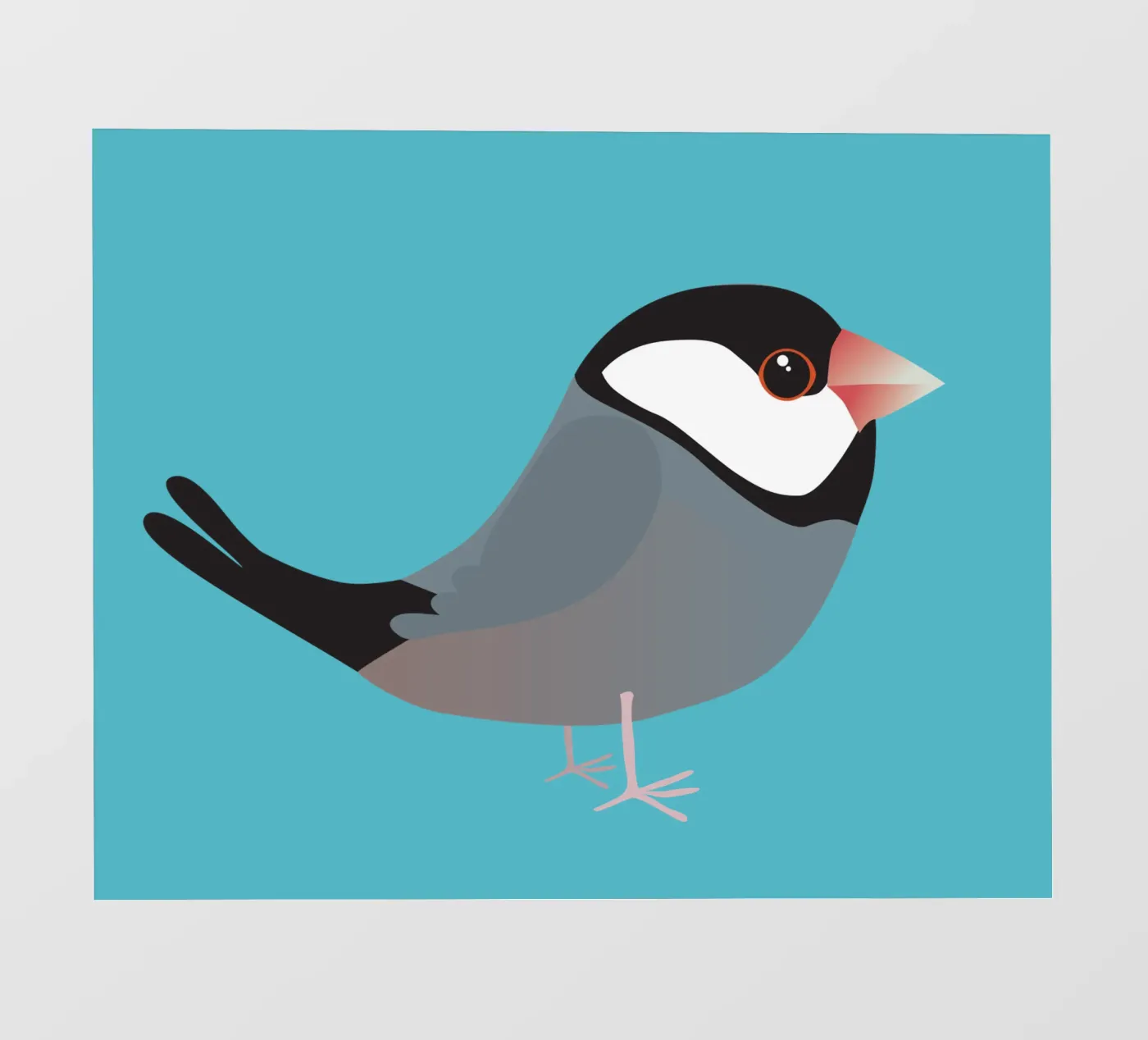 Cute java sparrow Backlit Folie von BwiseLizzy