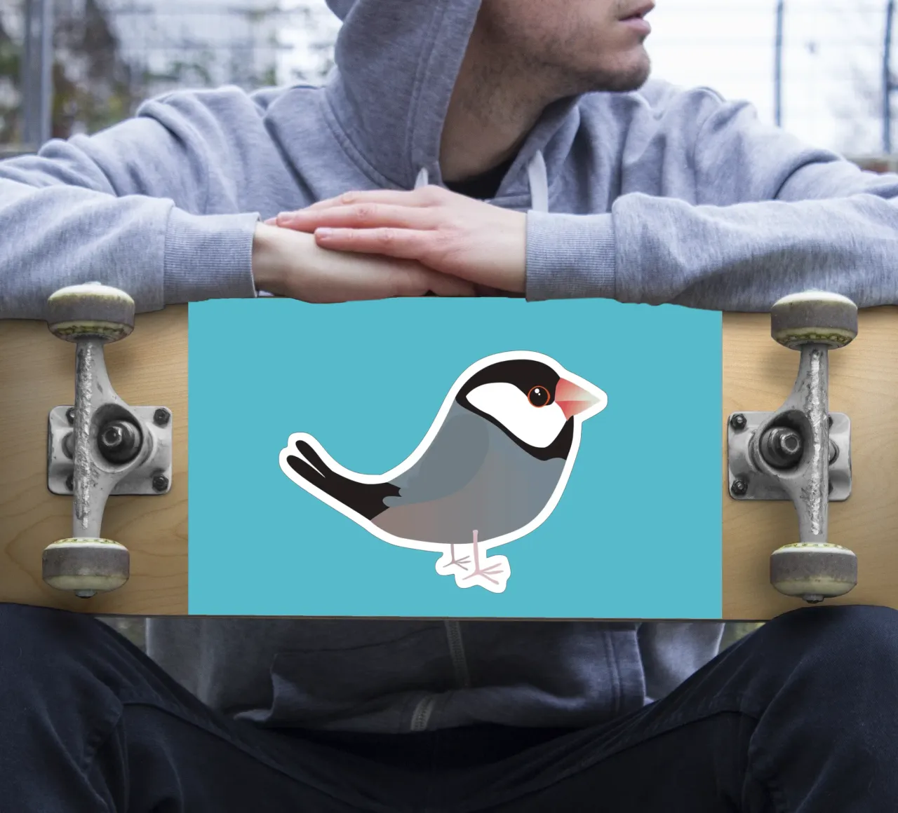 Cute java sparrow sticker by BwiseLizzy