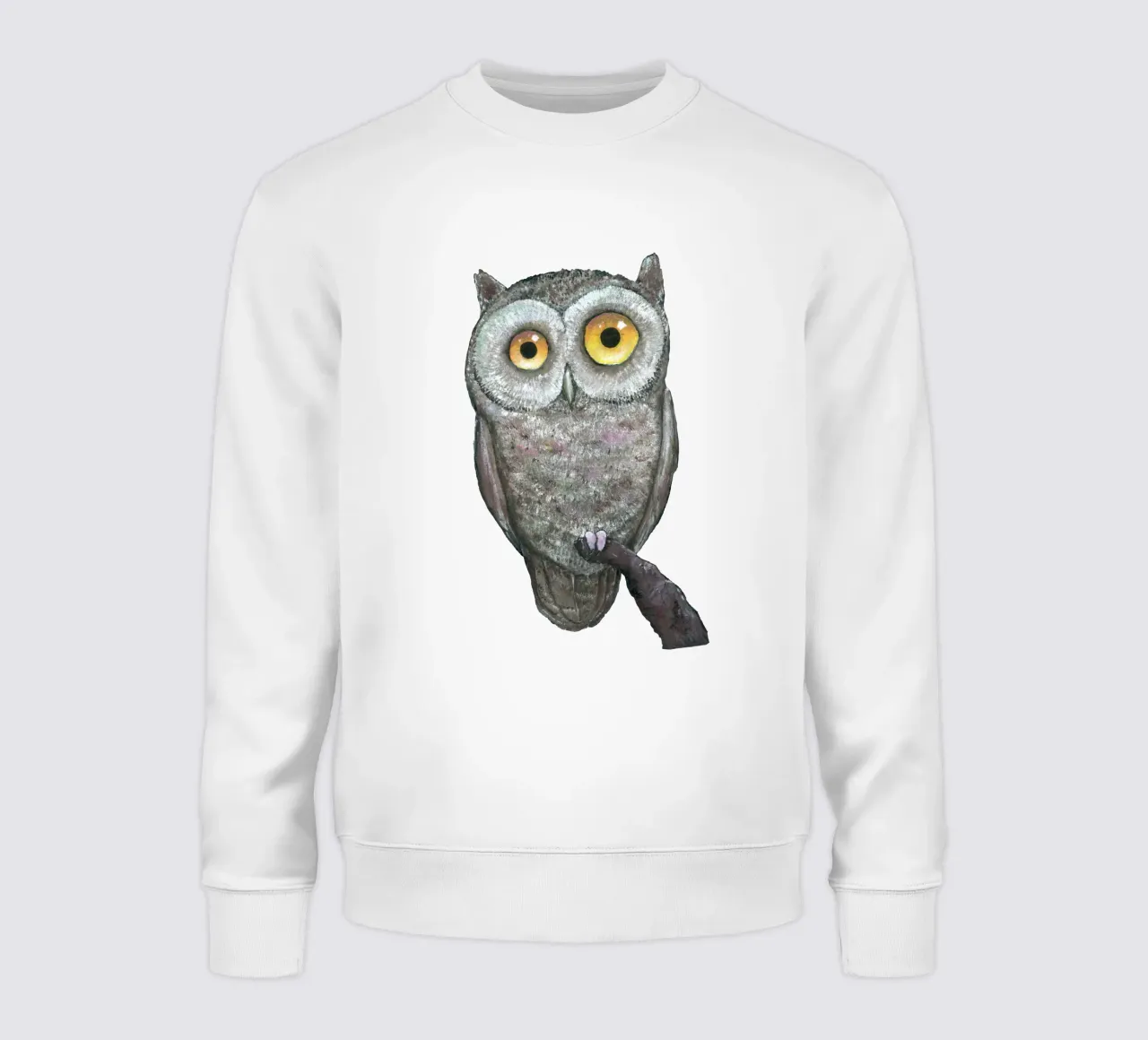 An oil painting of a funny owl sweatshirt by BwiseLizzy
