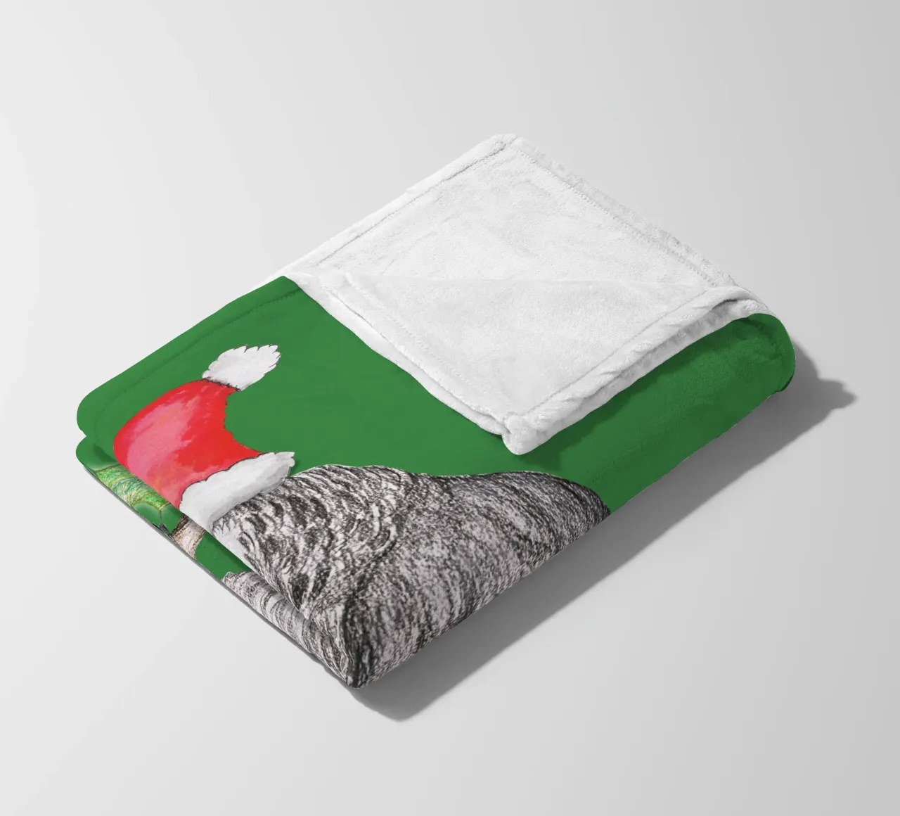 Pappagallo grigio africano di Natale coperta in pile da BwiseLizzy