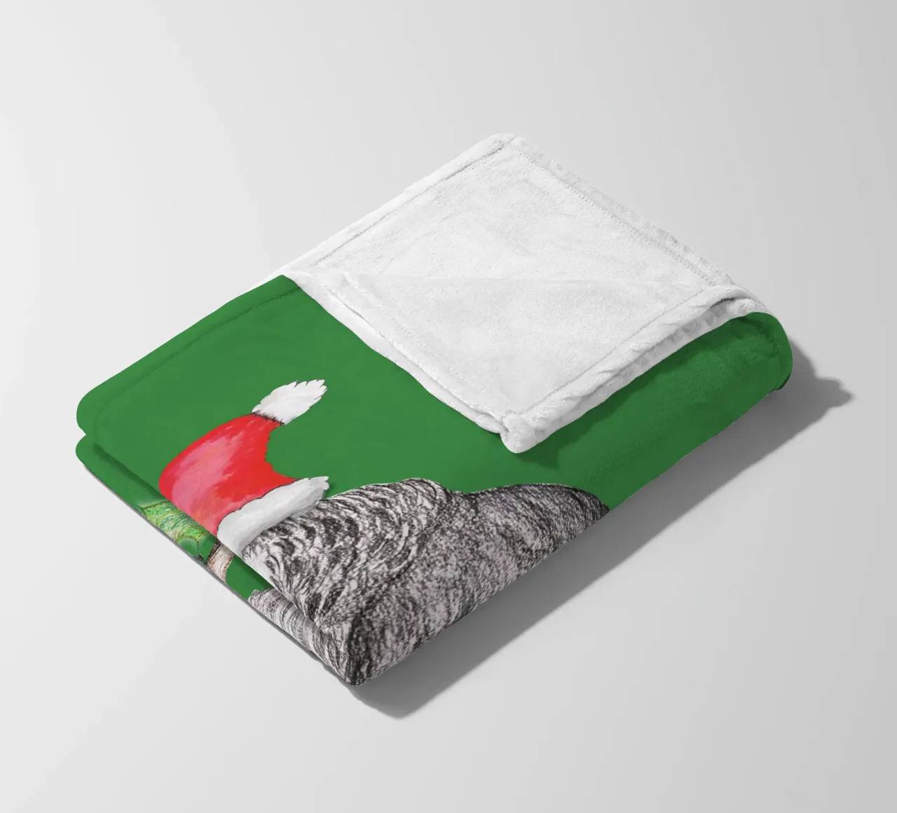 Pappagallo grigio africano di Natale coperta in pile da BwiseLizzy