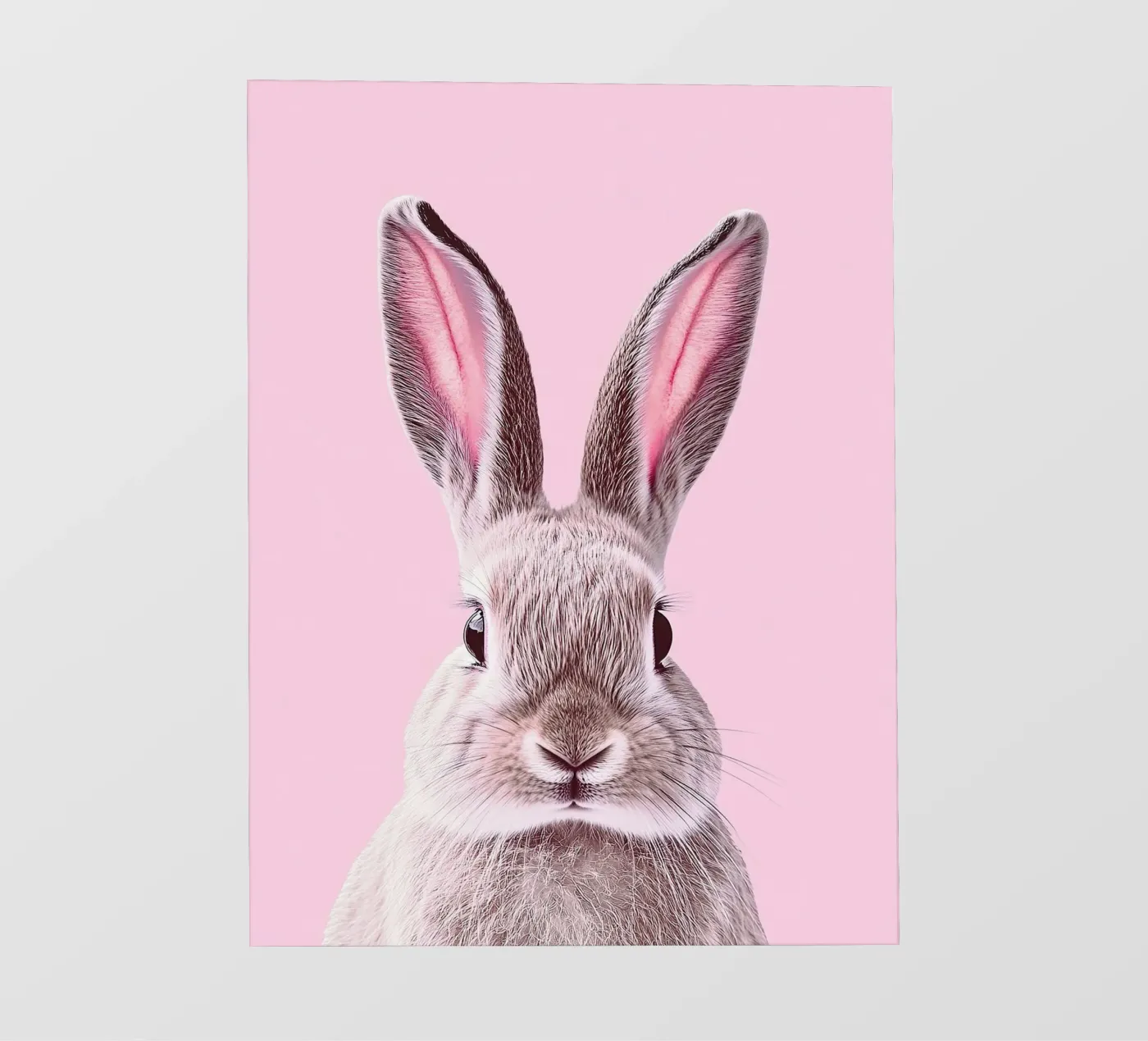 Rabbit fotobehang van Nikis Art Studio