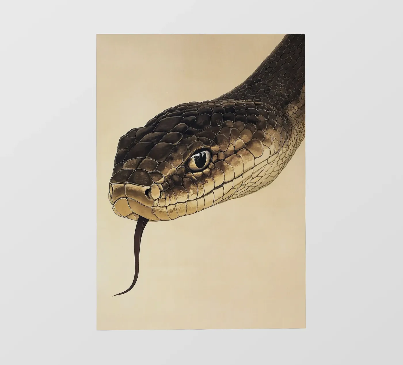 Serpente pellicola backlit da Nikis Art Studio