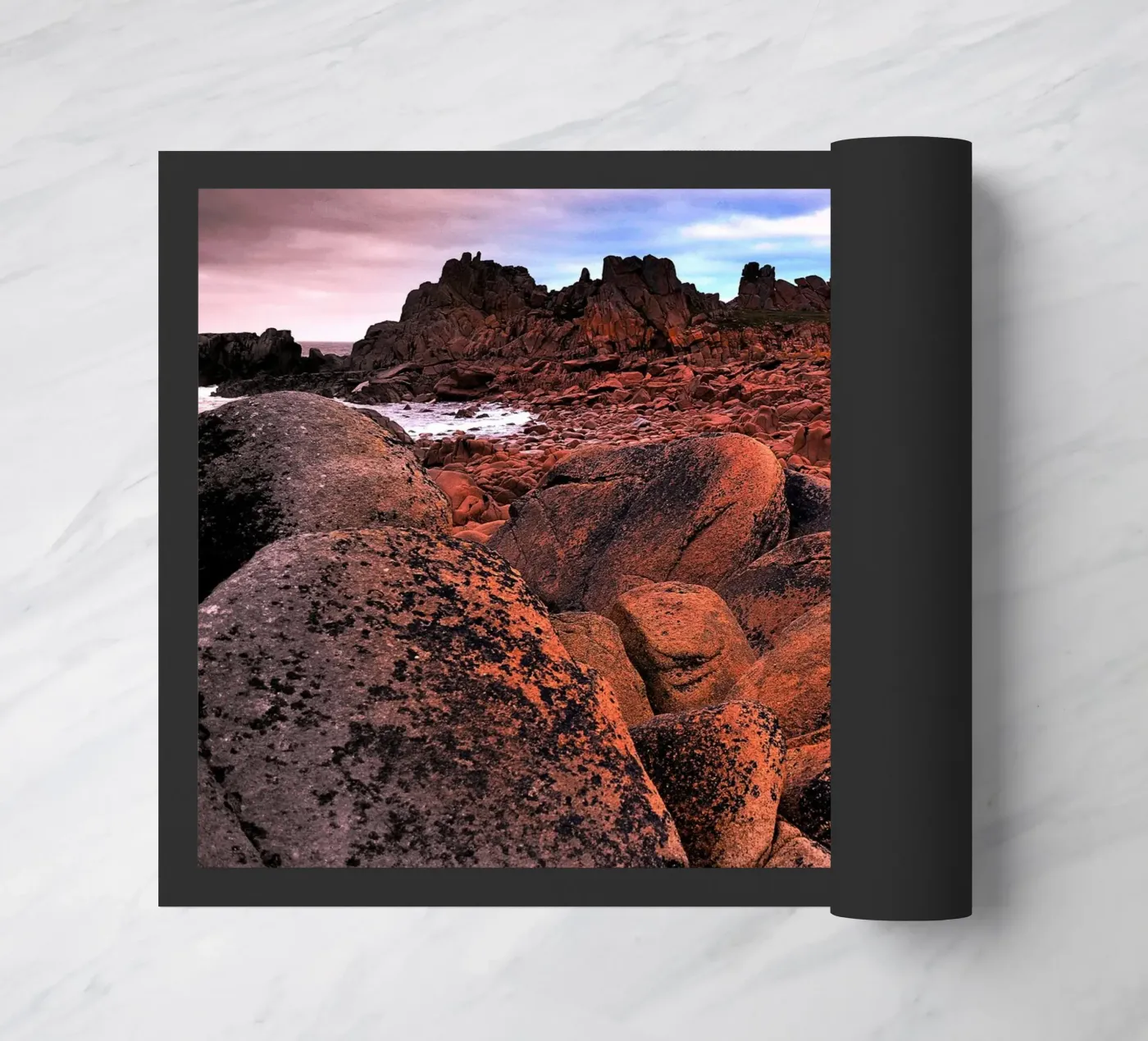 FAA91 zerbino da Thierry vobmann photography