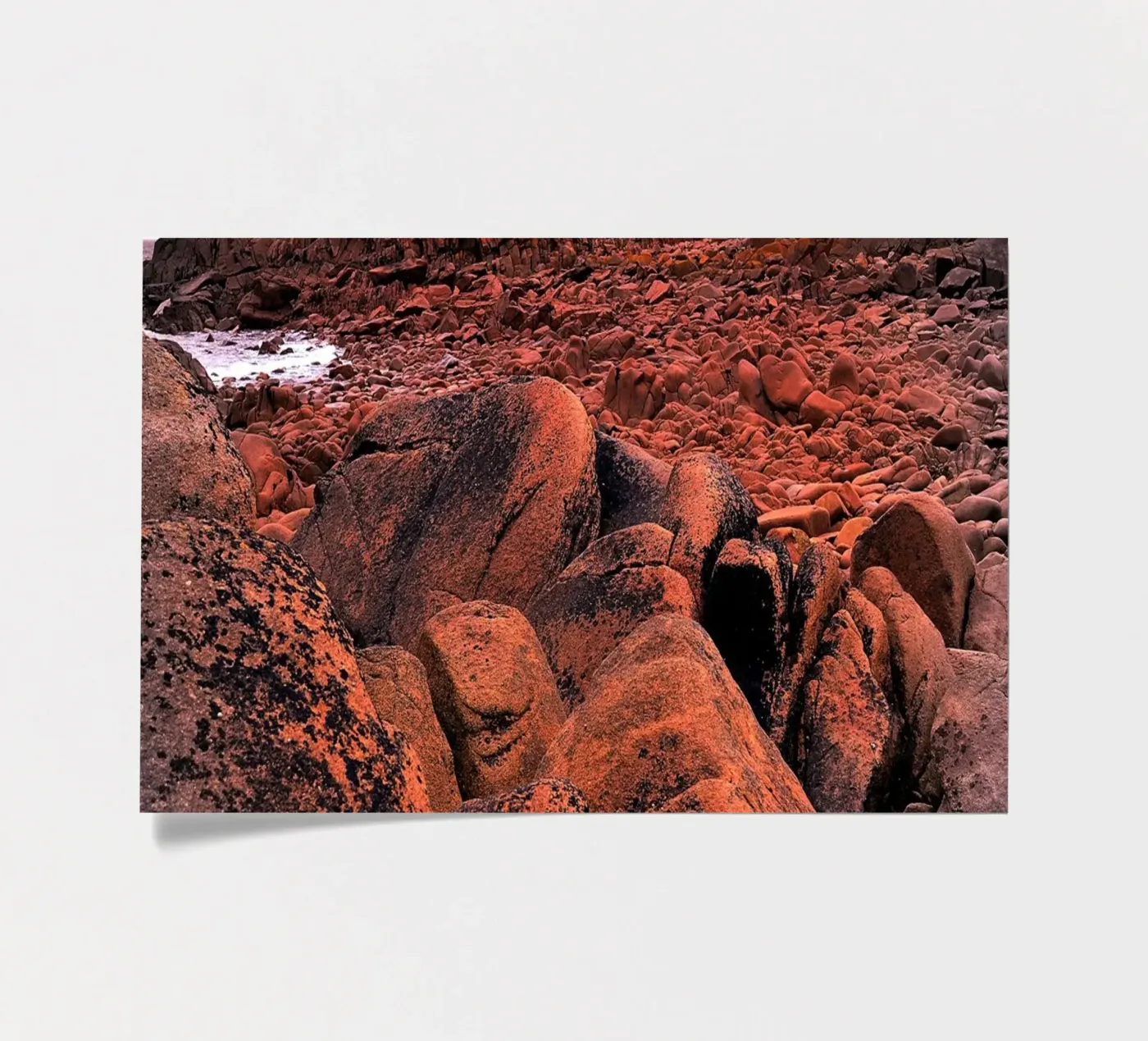 FAA91 sticker sheet by Thierry vobmann photography