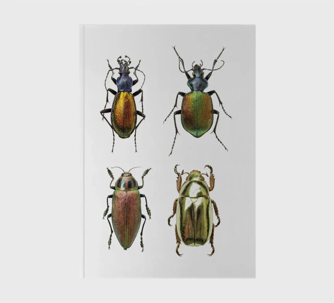 Glimmering Jewels: Four Shimmering Beetles notebook by Curious Collections by Marielle Leenders