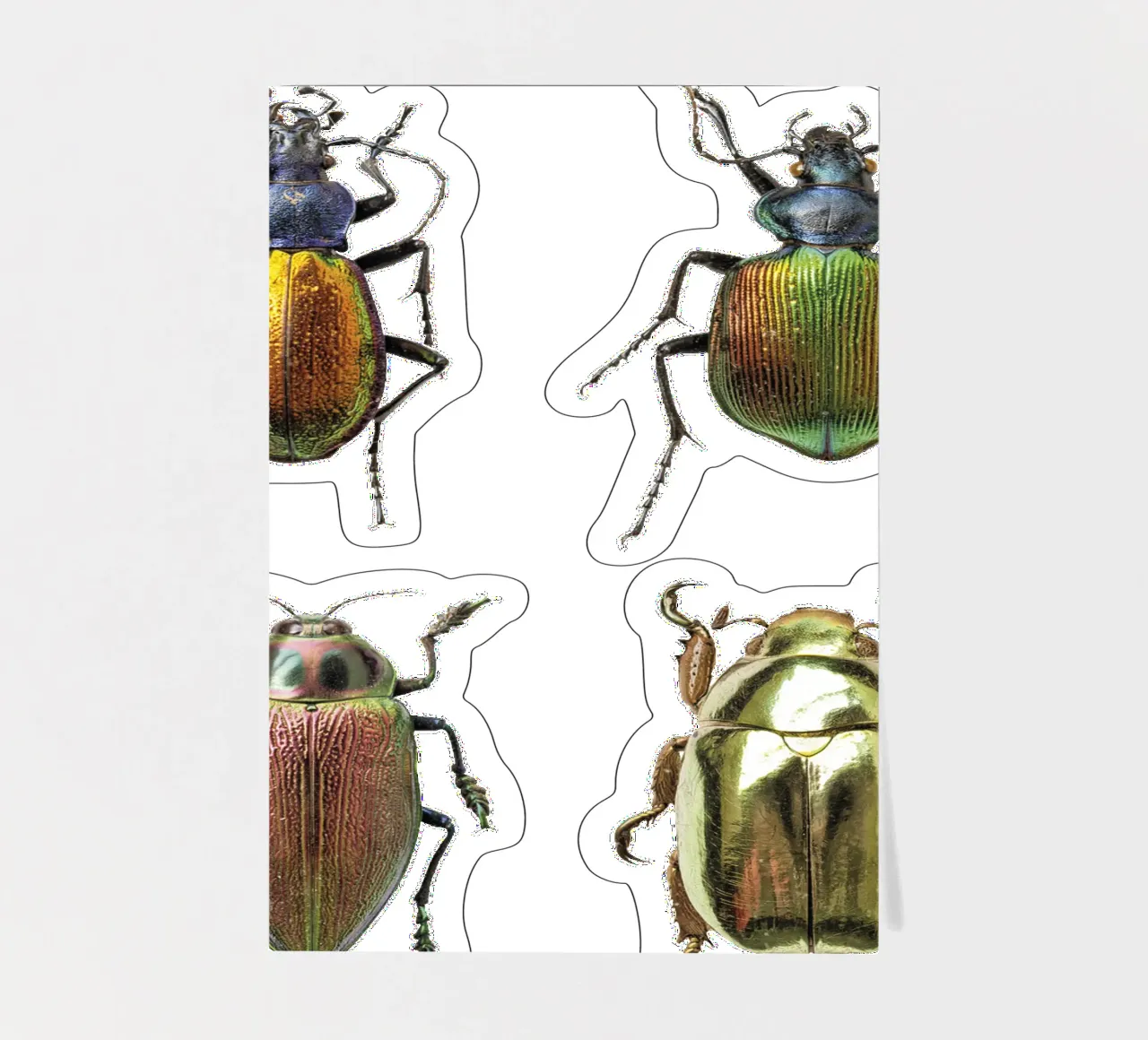 Schimmernde Juwelen: Vier schimmernde Käfer Stickerbogen von Curious Collections by Marielle Leenders
