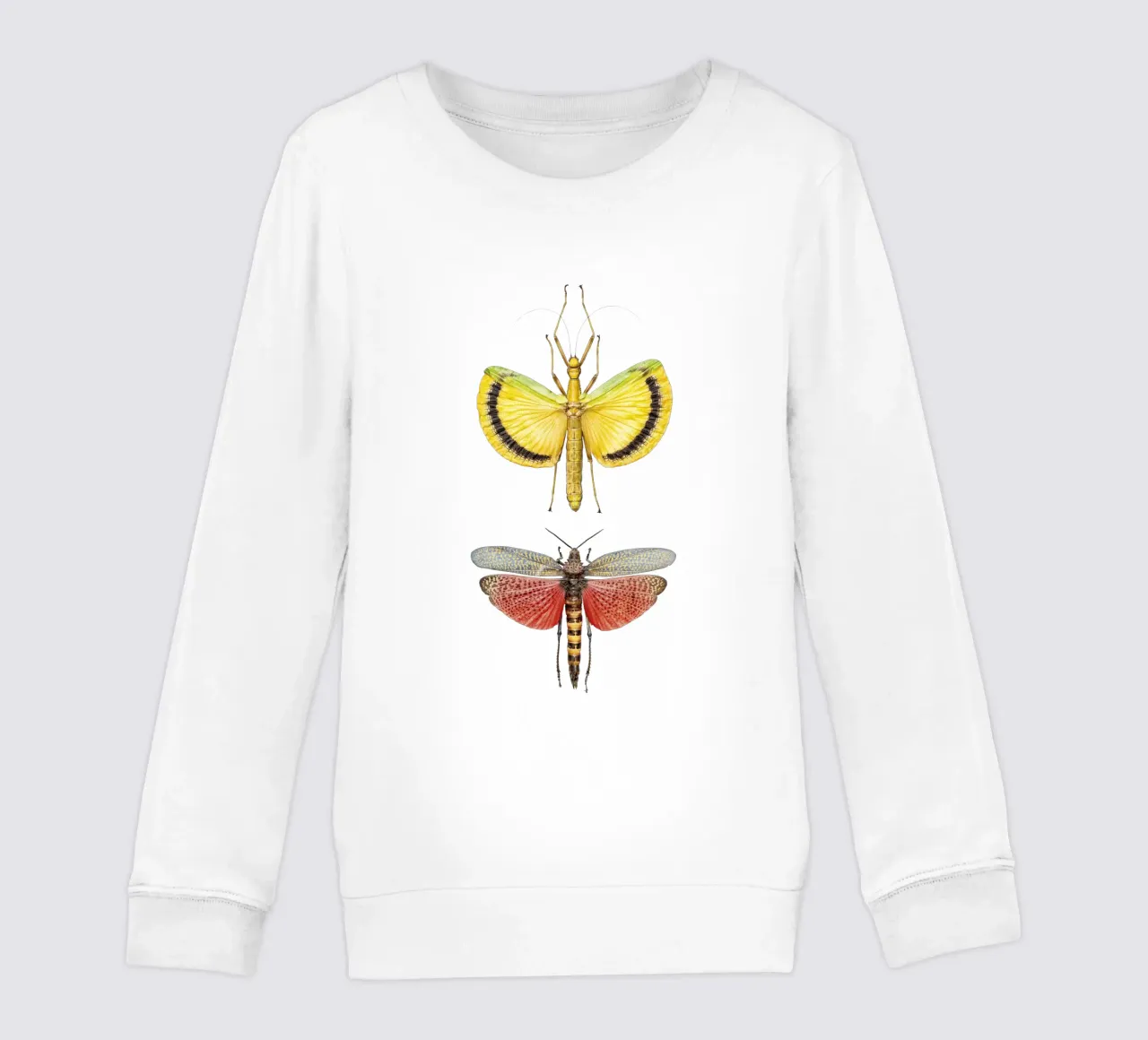 Compagni vivaci: Grilli gialli e rossi felpa bambino da Curious Collections by Marielle Leenders