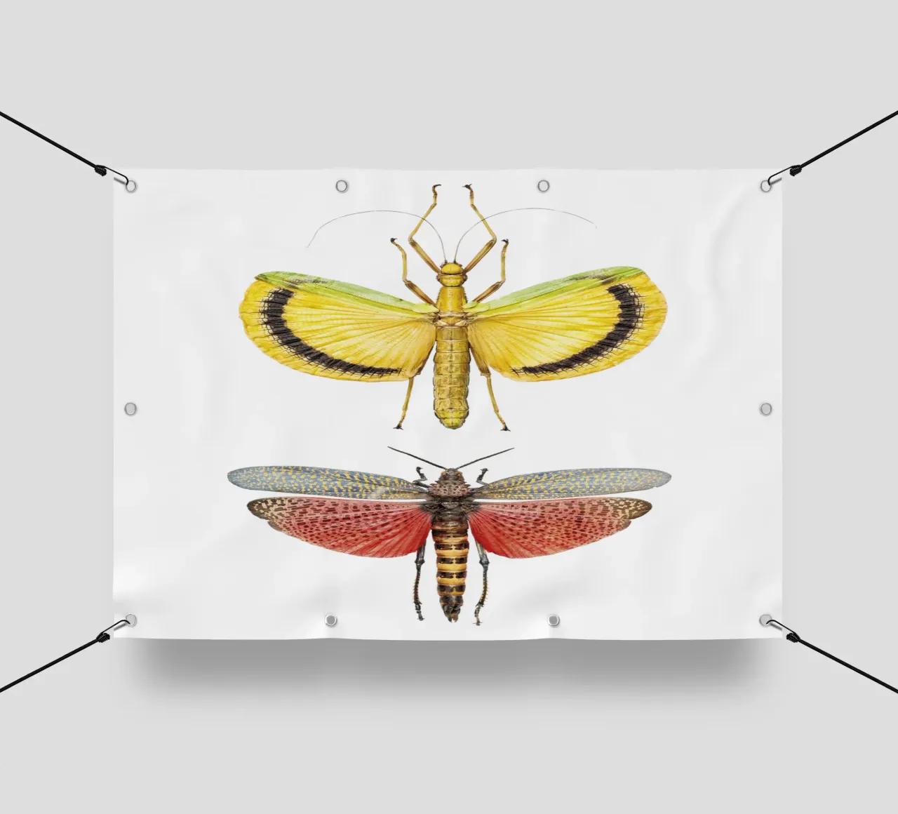 Compagni vivaci: Grilli gialli e rossi telo in pvc da Curious Collections by Marielle Leenders