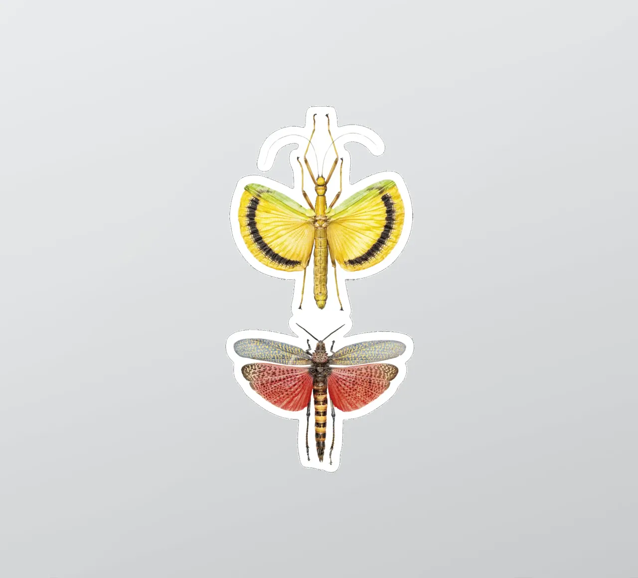 Vivid Companions: Yellow and Red Crickets sticker by Curious Collections by Marielle Leenders
