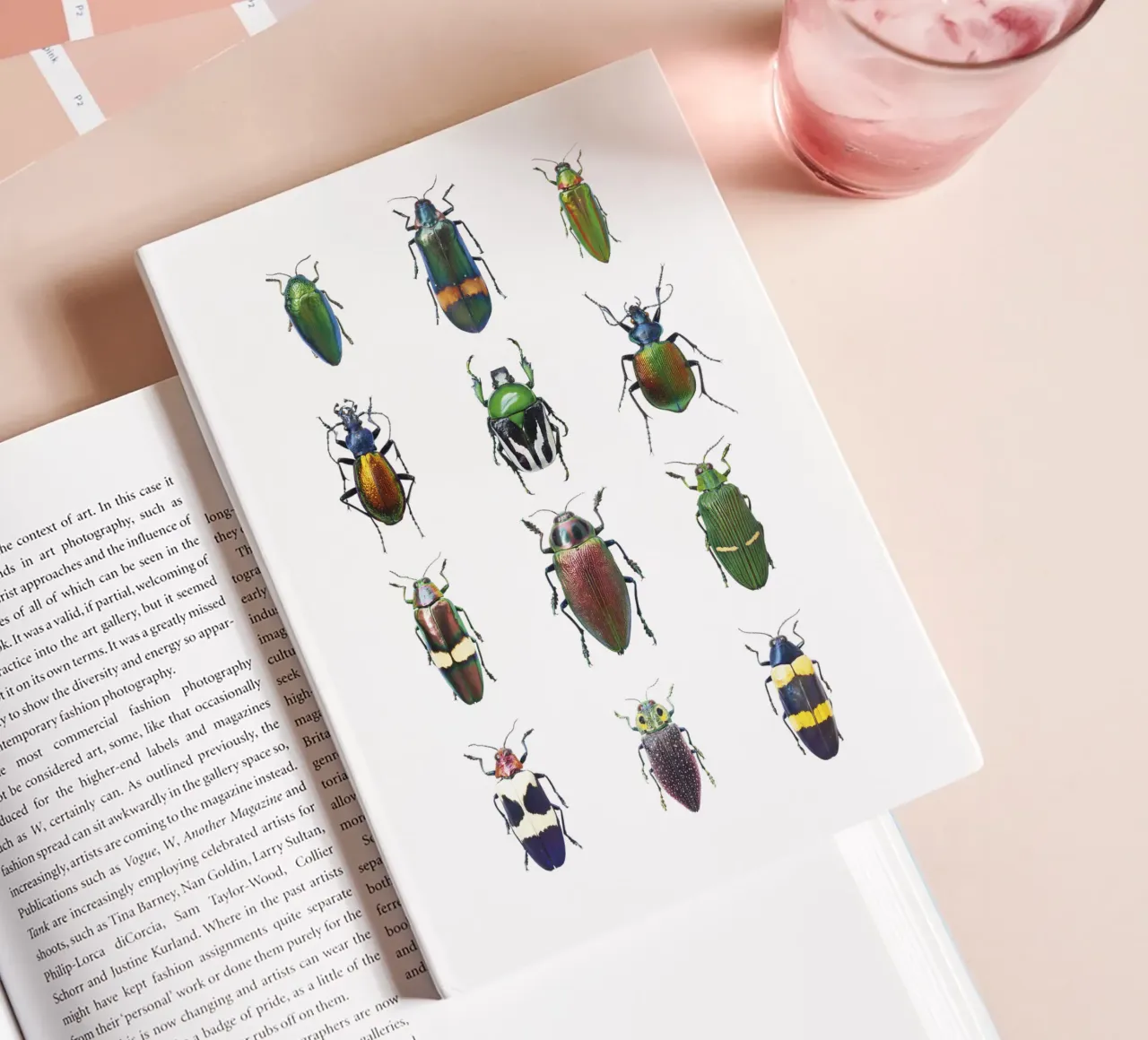 Dazzling Diversity: Assorted Beetles notebook by Curious Collections by Marielle Leenders