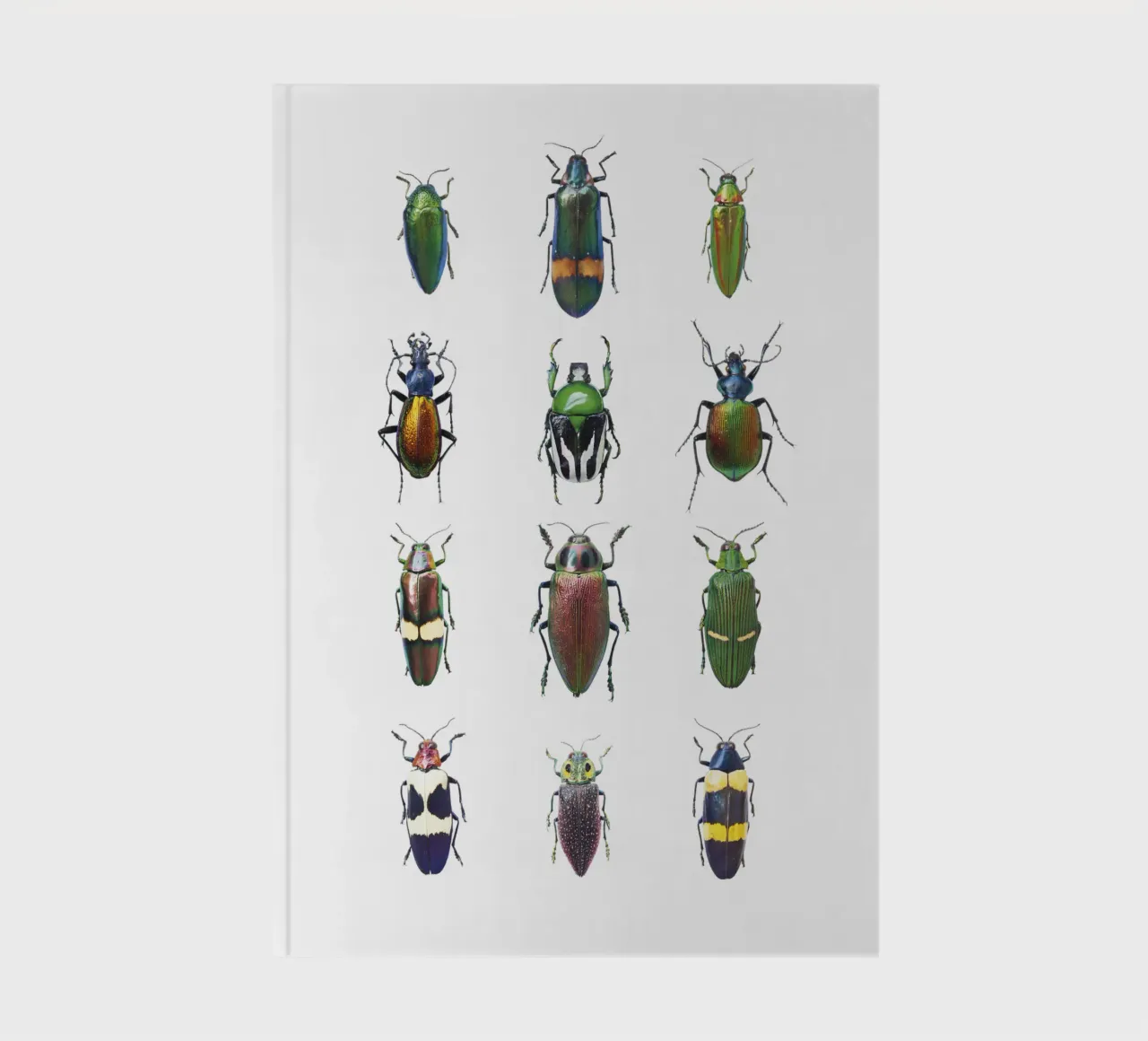Dazzling Diversity: Assorted Beetles notebook by Curious Collections by Marielle Leenders