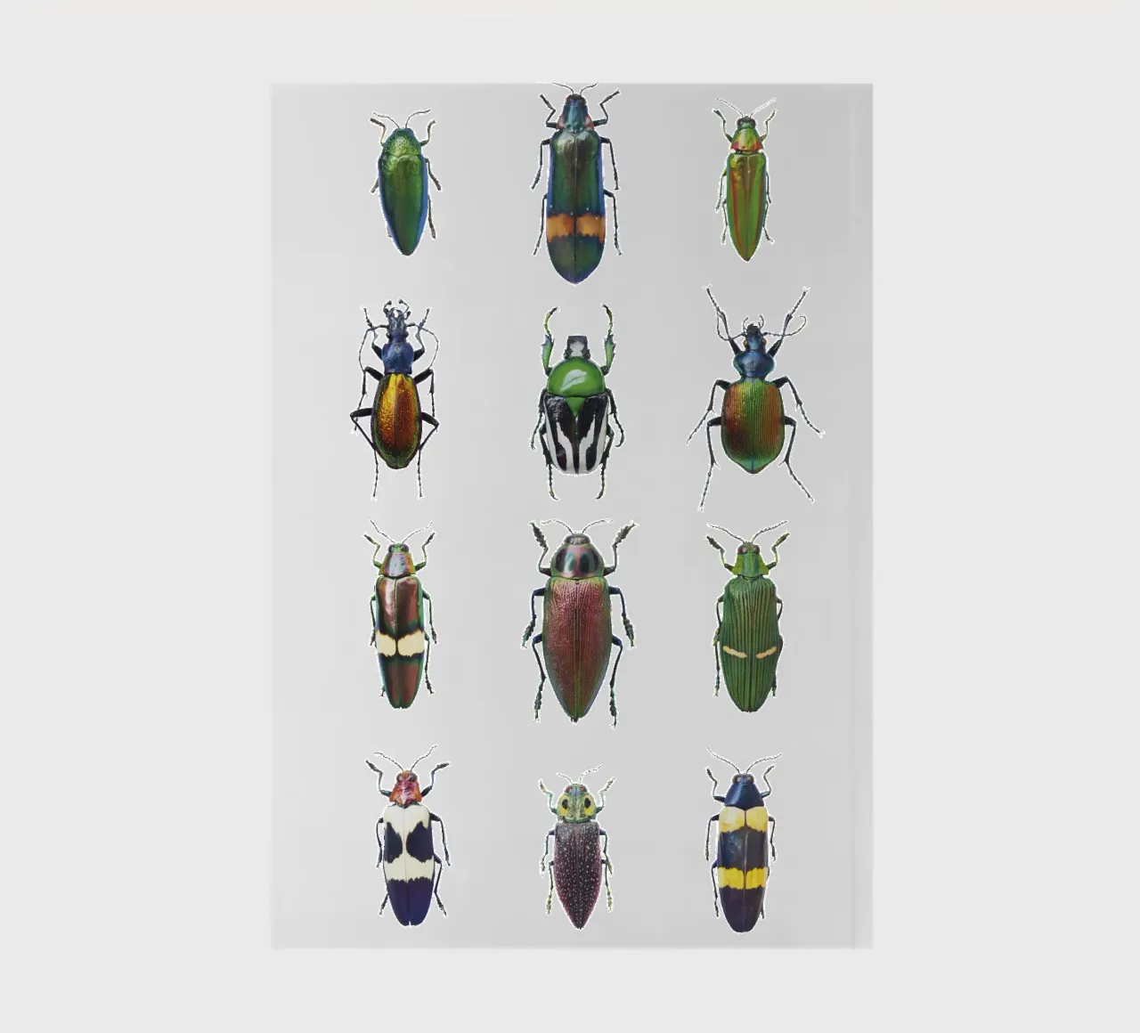 Dazzling Diversity: Assorted Beetles notebook by Curious Collections by Marielle Leenders