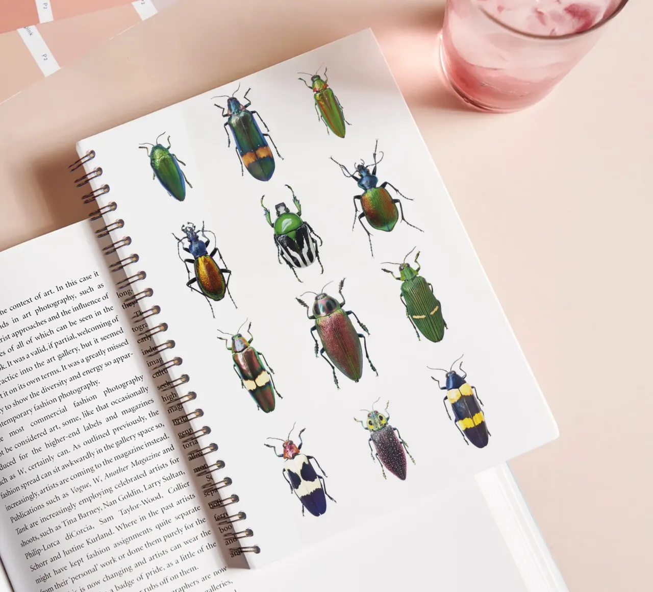 Dazzling Diversity: Assorted Beetles spiral notebook by Curious Collections by Marielle Leenders
