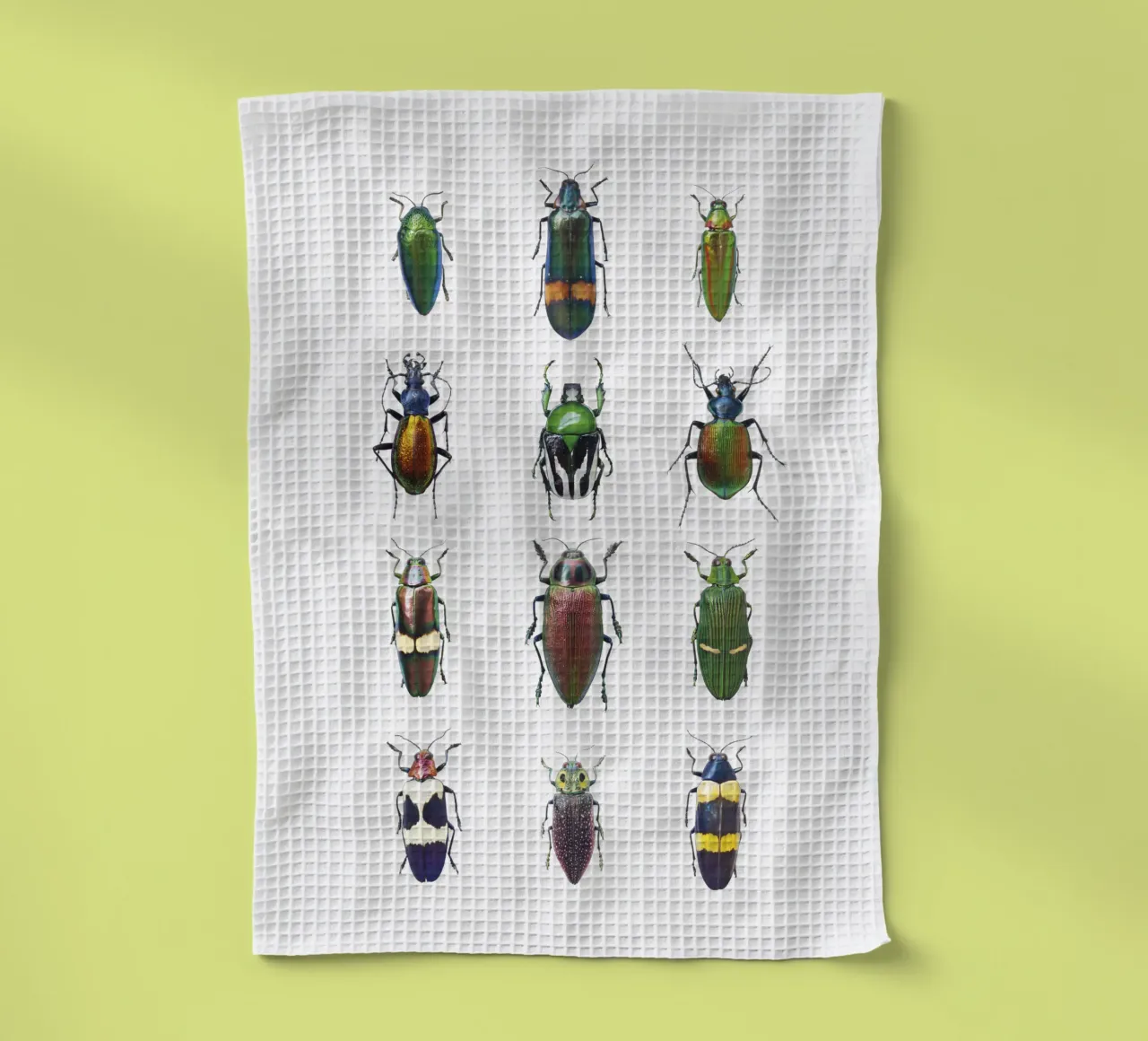 Schillernde Vielfalt: Diverse Käfer Geschirrtuch von Curious Collections by Marielle Leenders