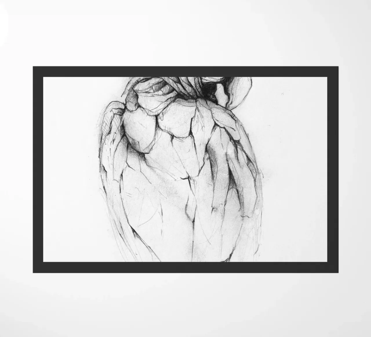 Pappagallo zerbino da mikekoubou