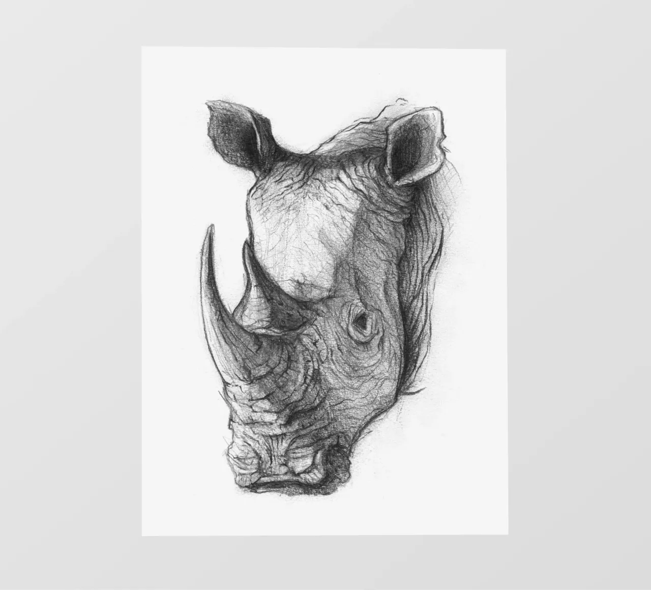 Rhino pellicola backlit da mikekoubou
