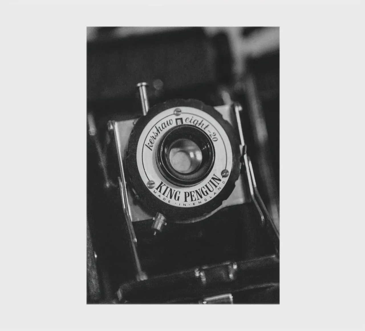 King Penguin Camera notebook by Dave Hare Photography