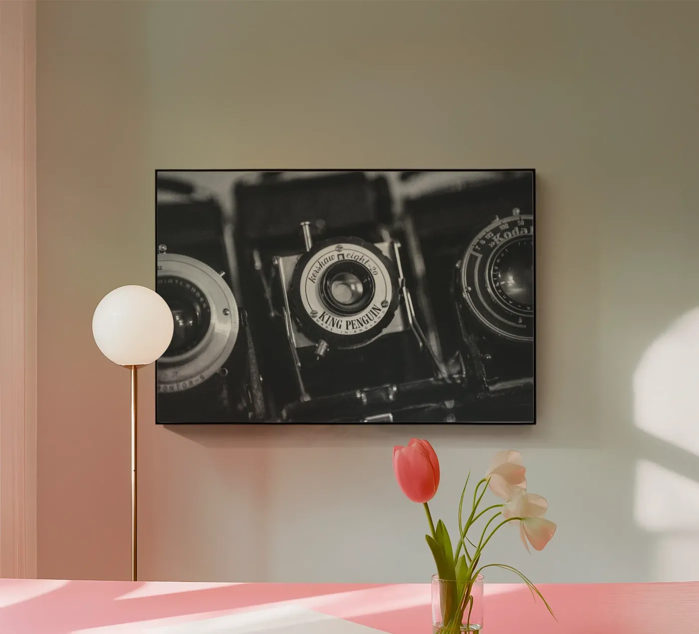 Telecamera King Penguin plexiglass da Dave Hare Photography
