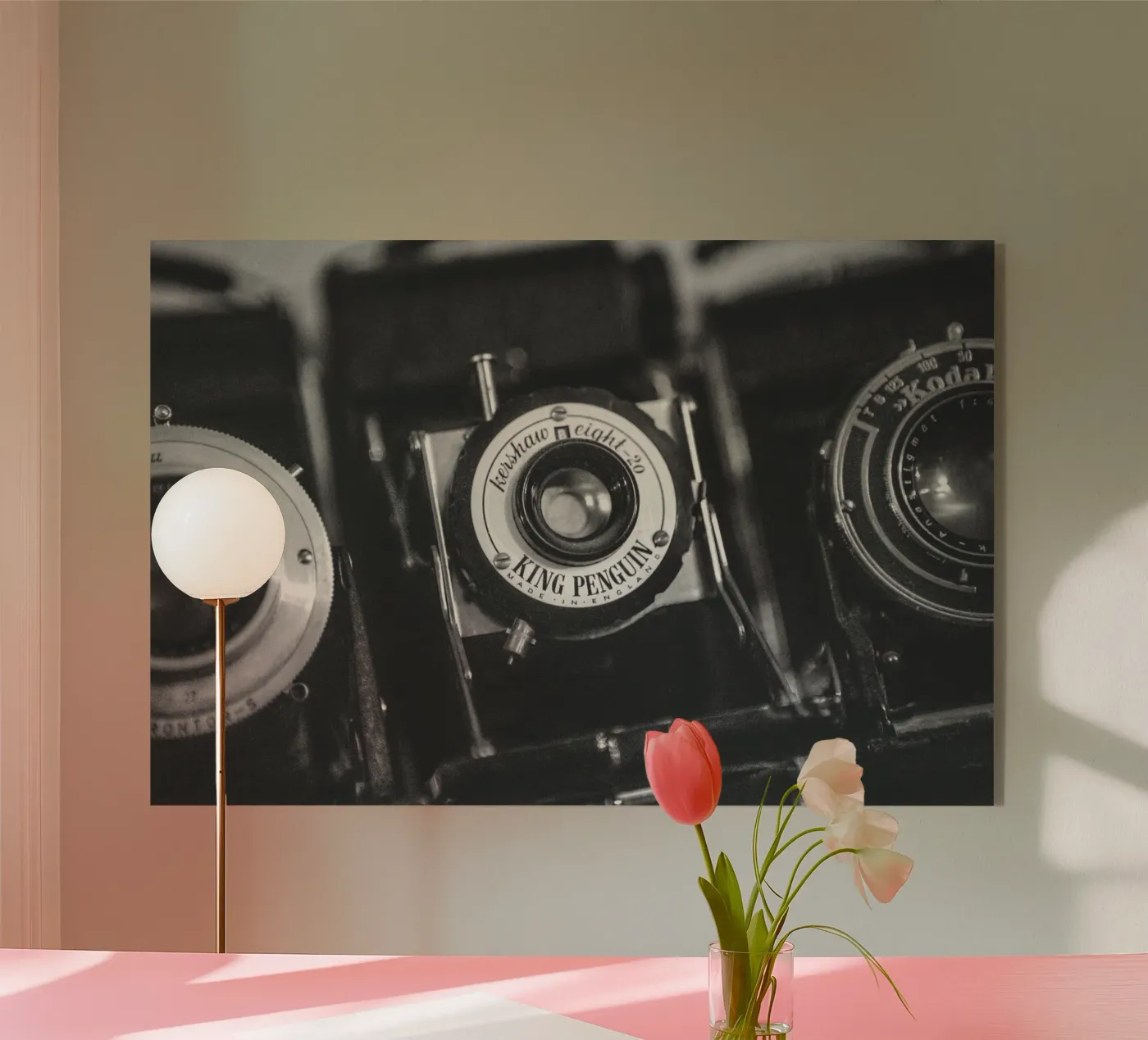 Telecamera King Penguin plexiglass da Dave Hare Photography