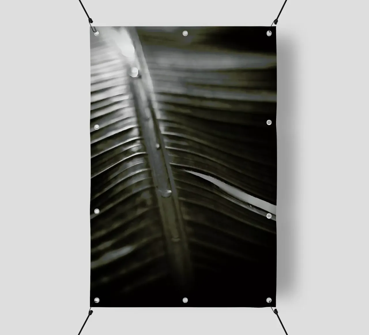 Botanical I - Banana Leaf telo in pvc da Anja Hebrank Photography