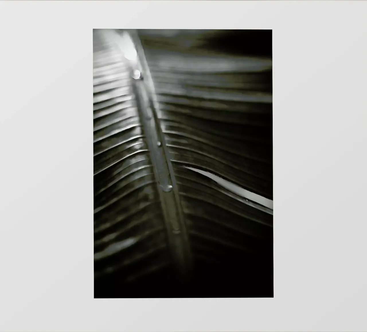 Botanical I - Banana Leaf telo in pvc da Anja Hebrank Photography