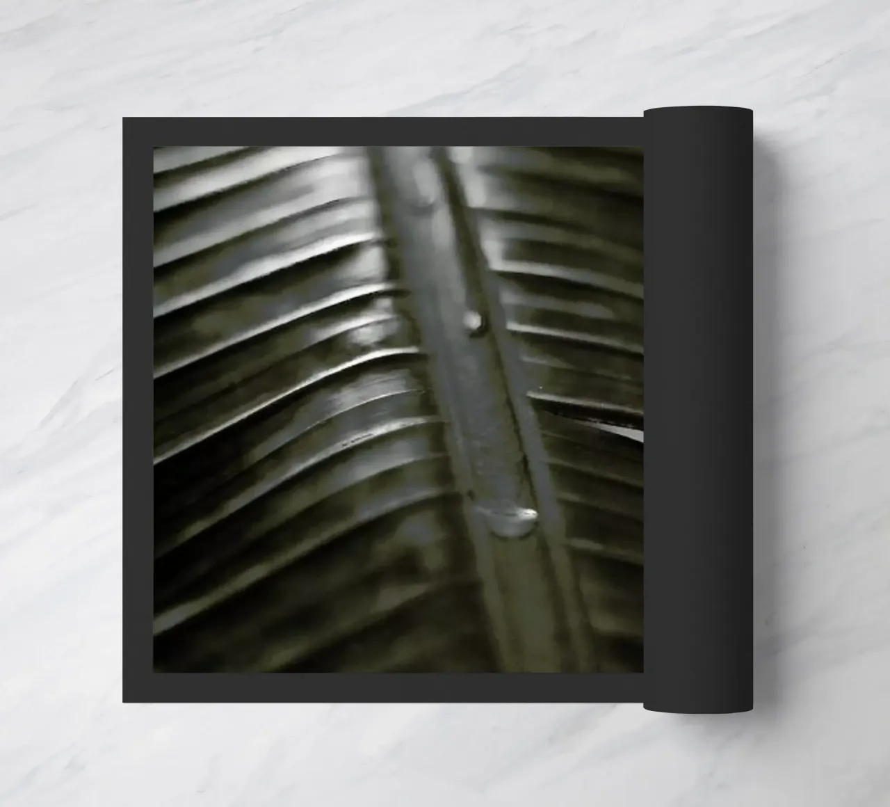 Botanical I - Banana Leaf zerbino da Anja Hebrank Photography