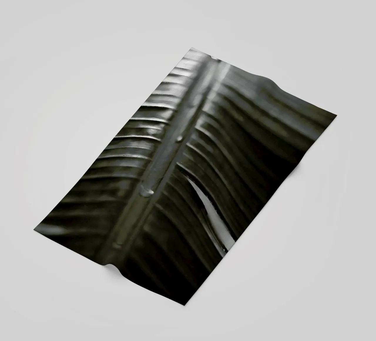 Botanical I - Banana Leaf telo mare da Anja Hebrank Photography