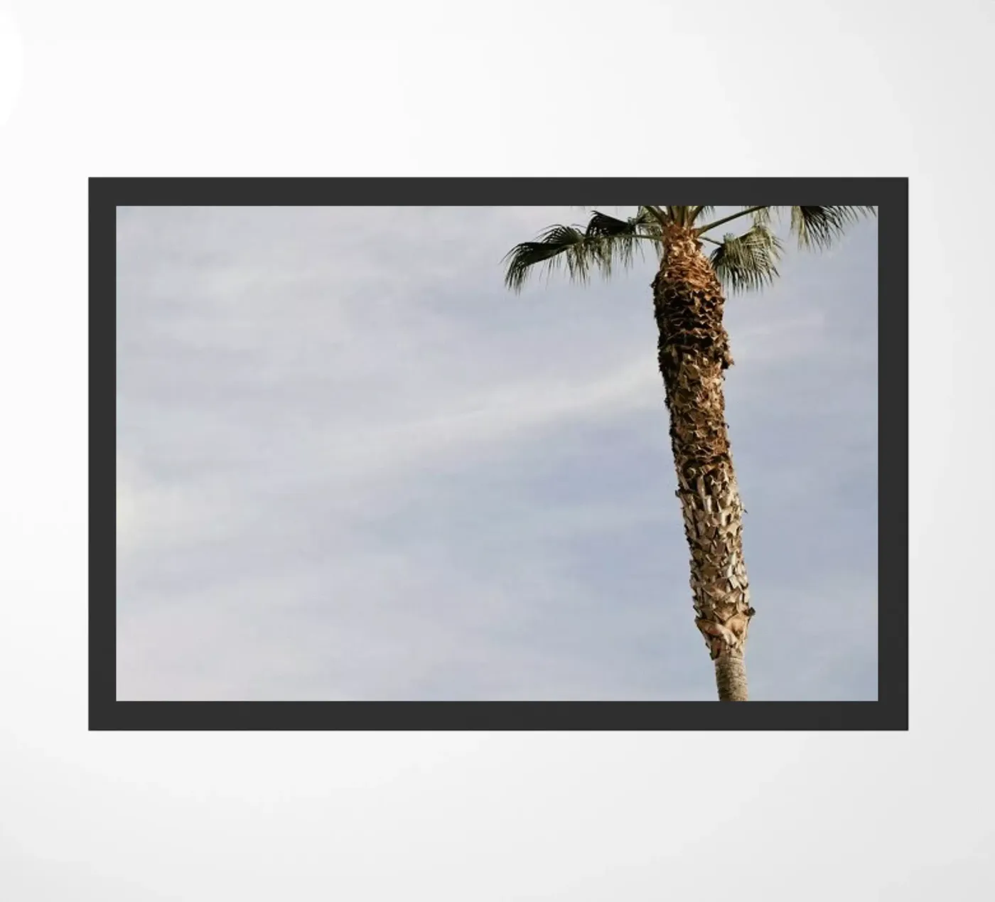 True Fit zerbino da Marc Gruninger