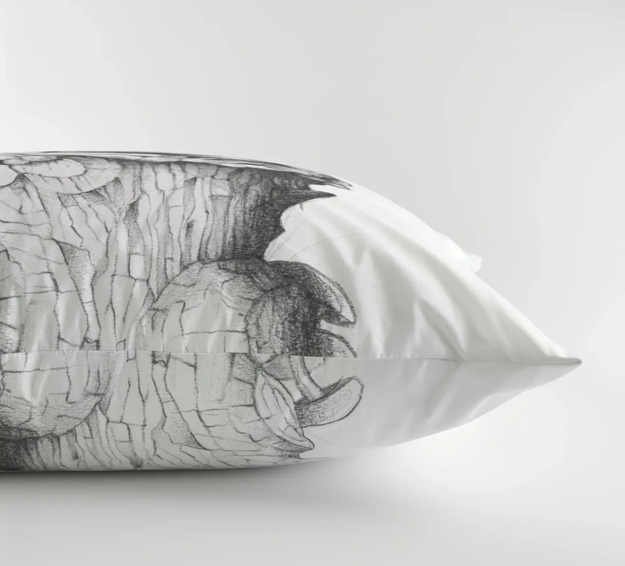 Rana e lumaca cuscino da mikekoubou