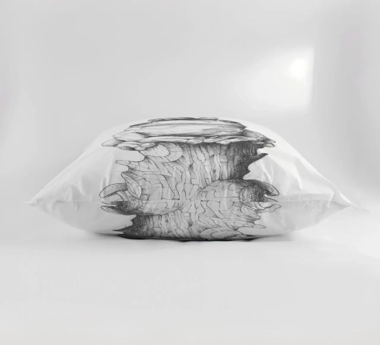 Rana e lumaca cuscino da mikekoubou