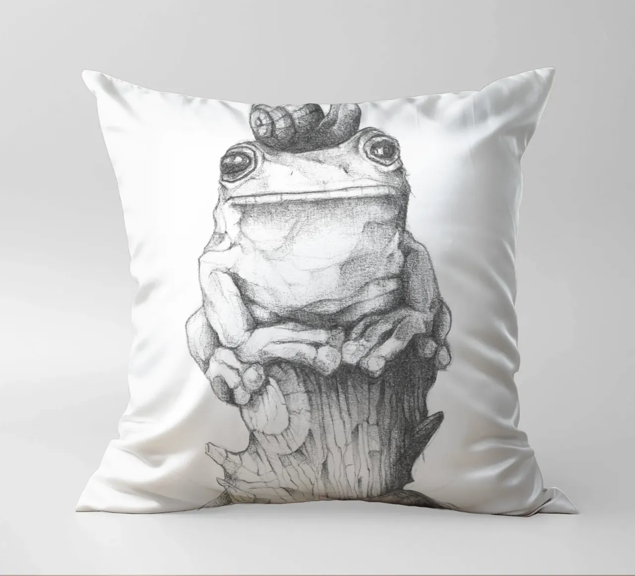 Rana e lumaca cuscino da mikekoubou