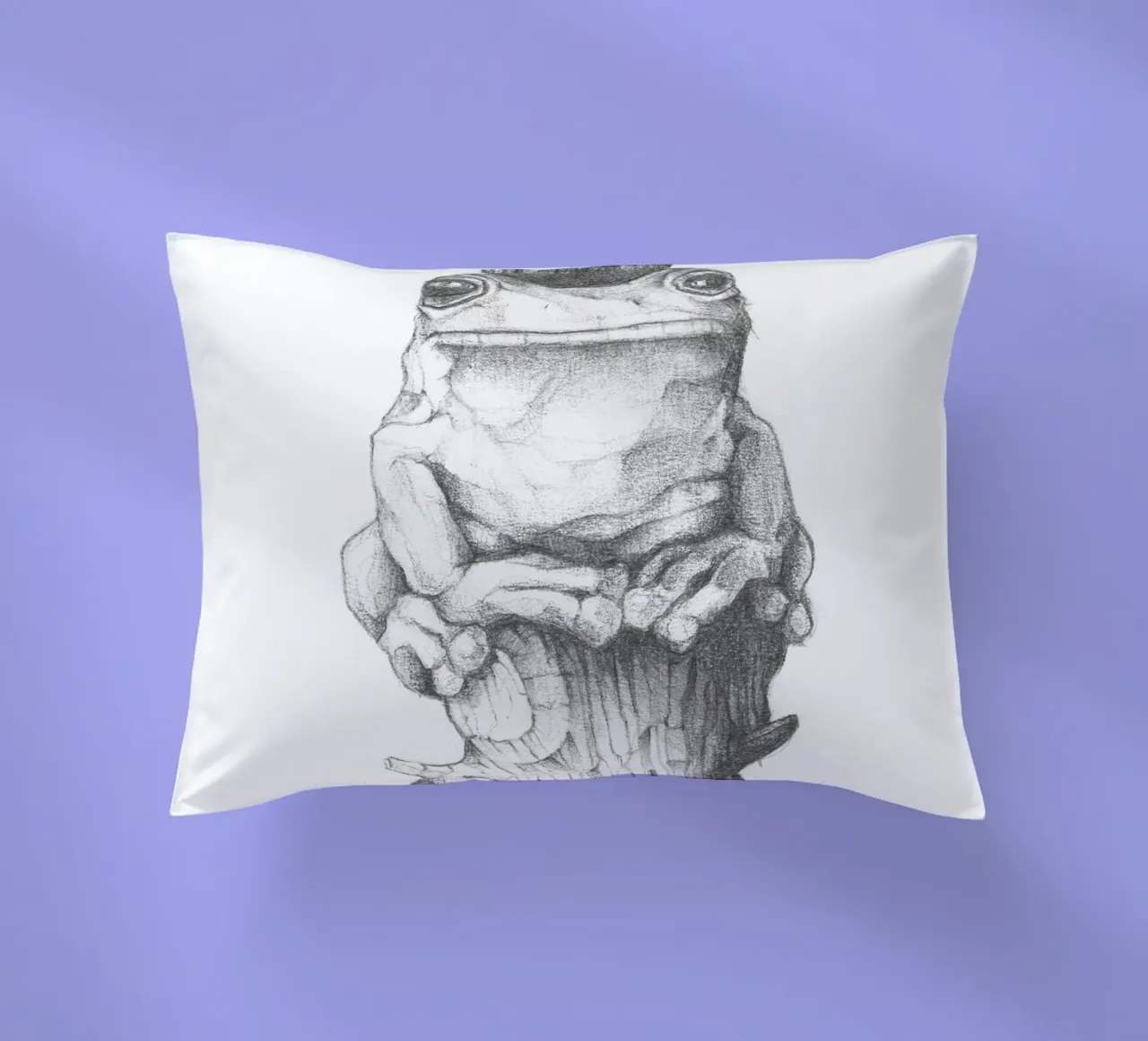 Rana e lumaca cuscino da mikekoubou